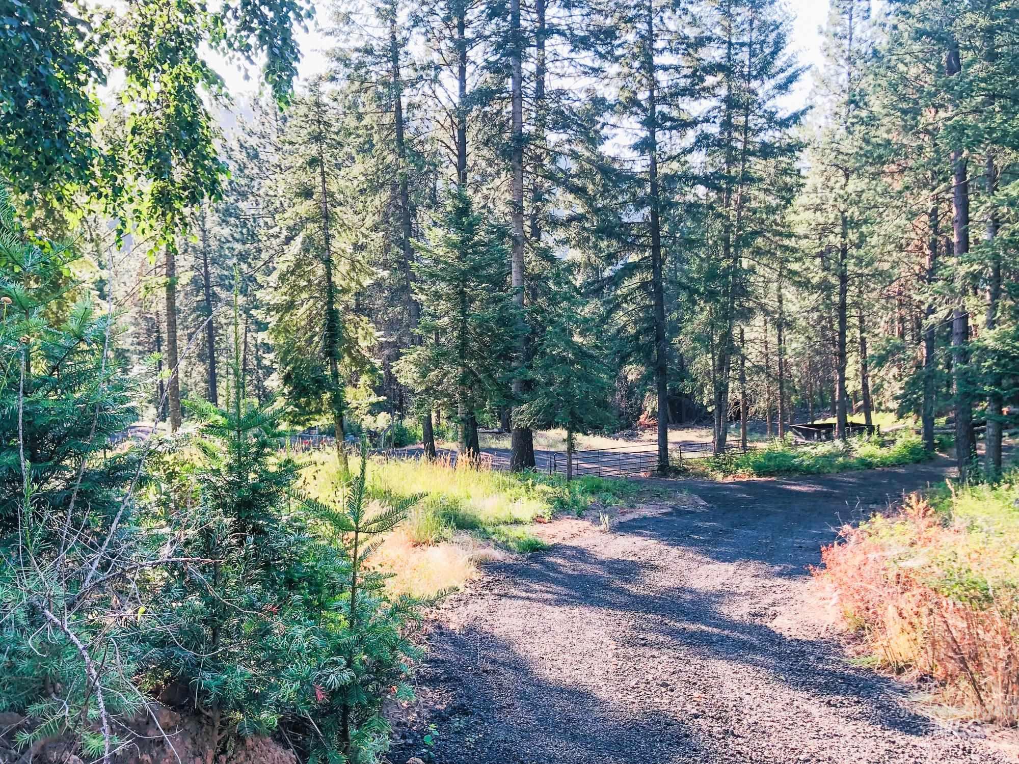 View of street with a view of trees