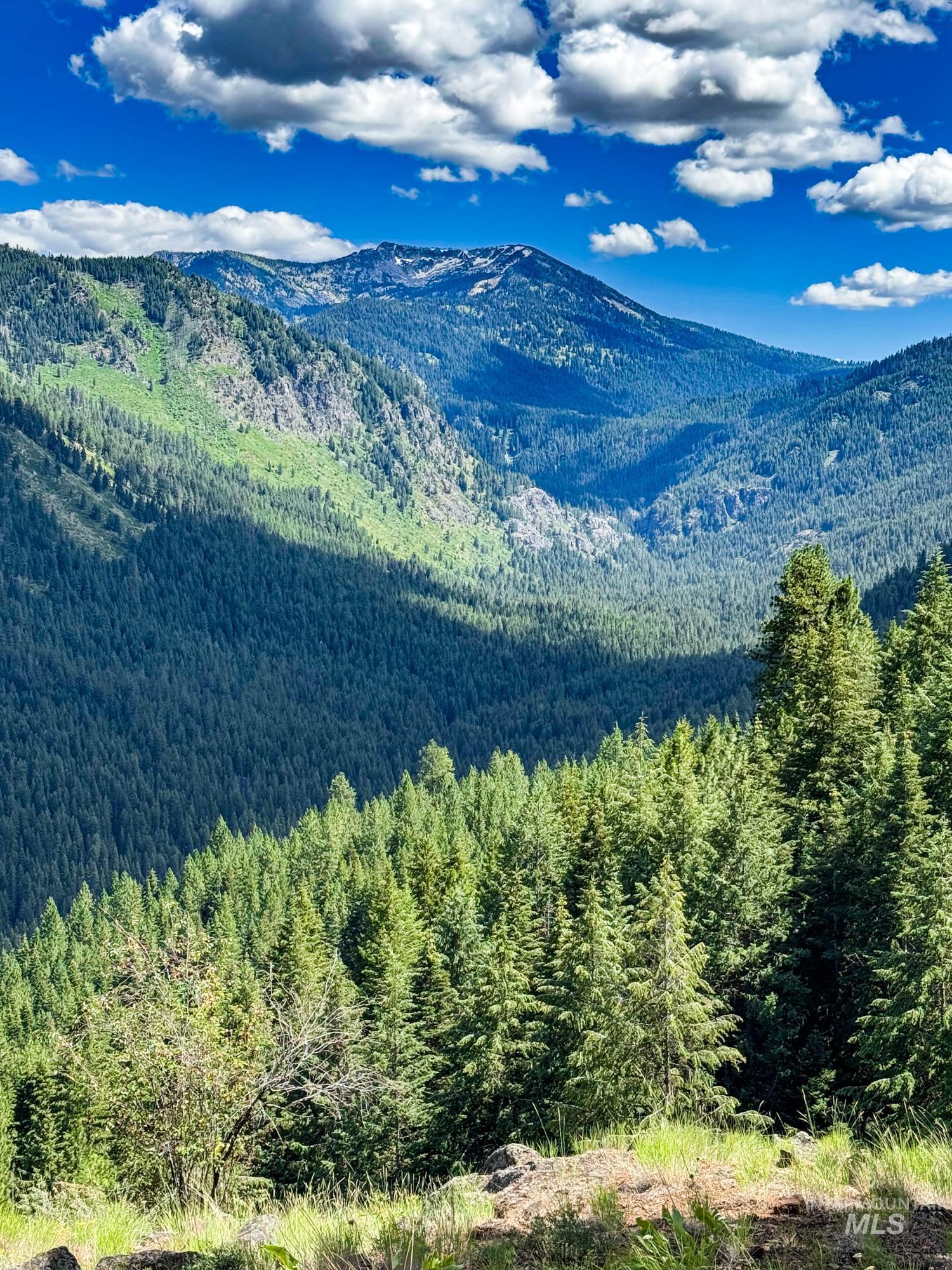 Mountain view featuring a forest