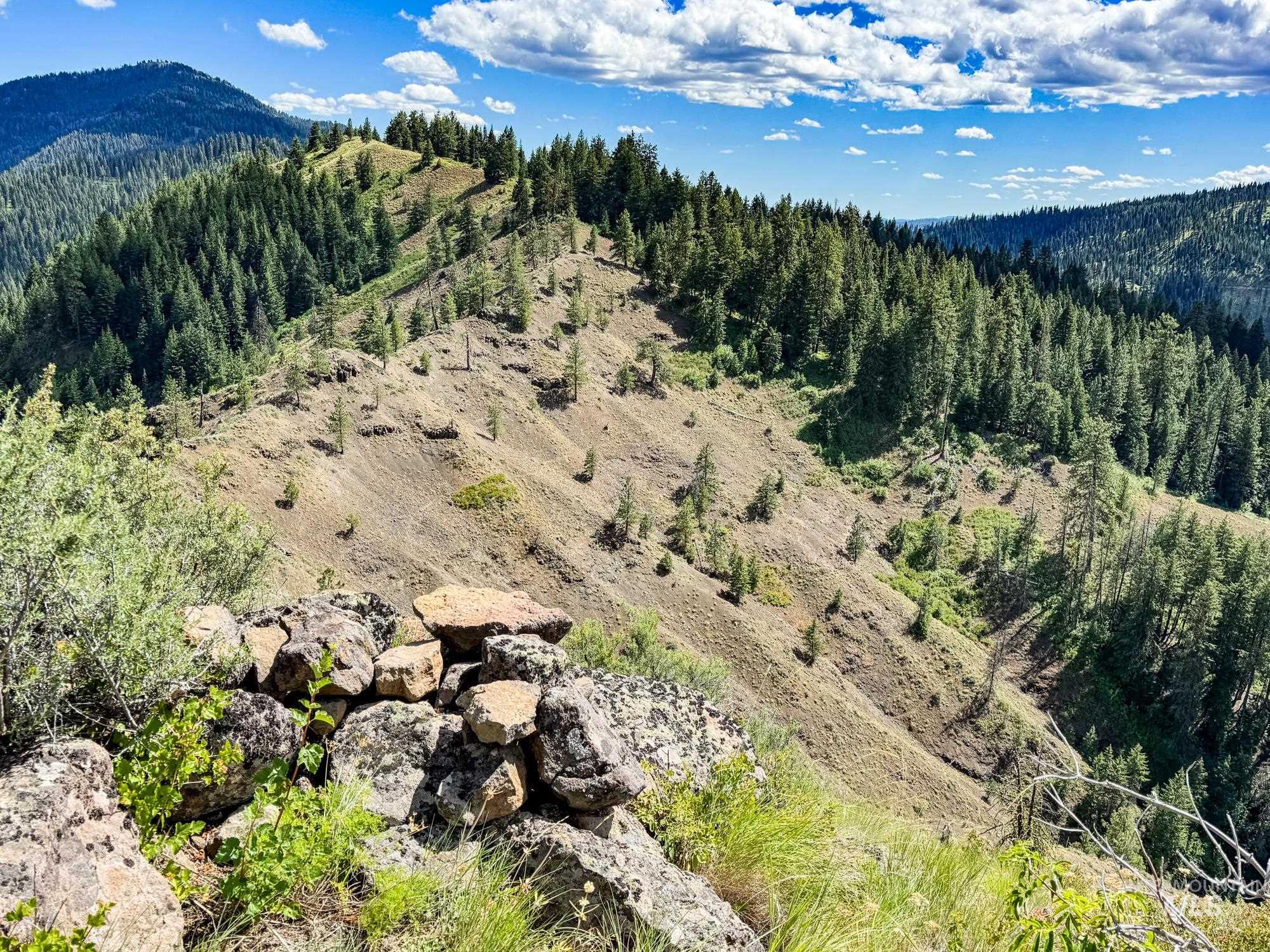 View of mountain background with a heavily wooded area