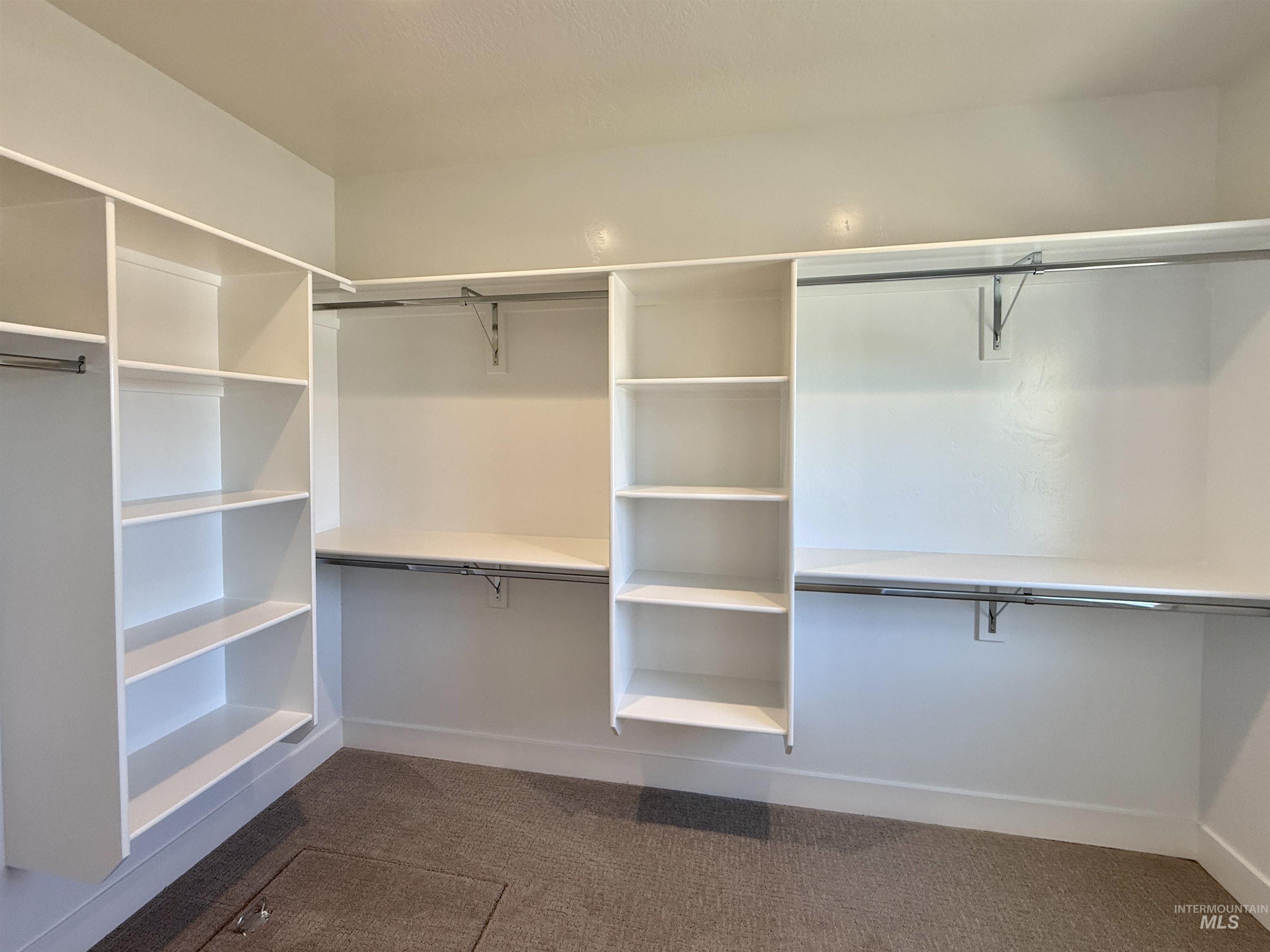 Walk in closet with dark colored carpet