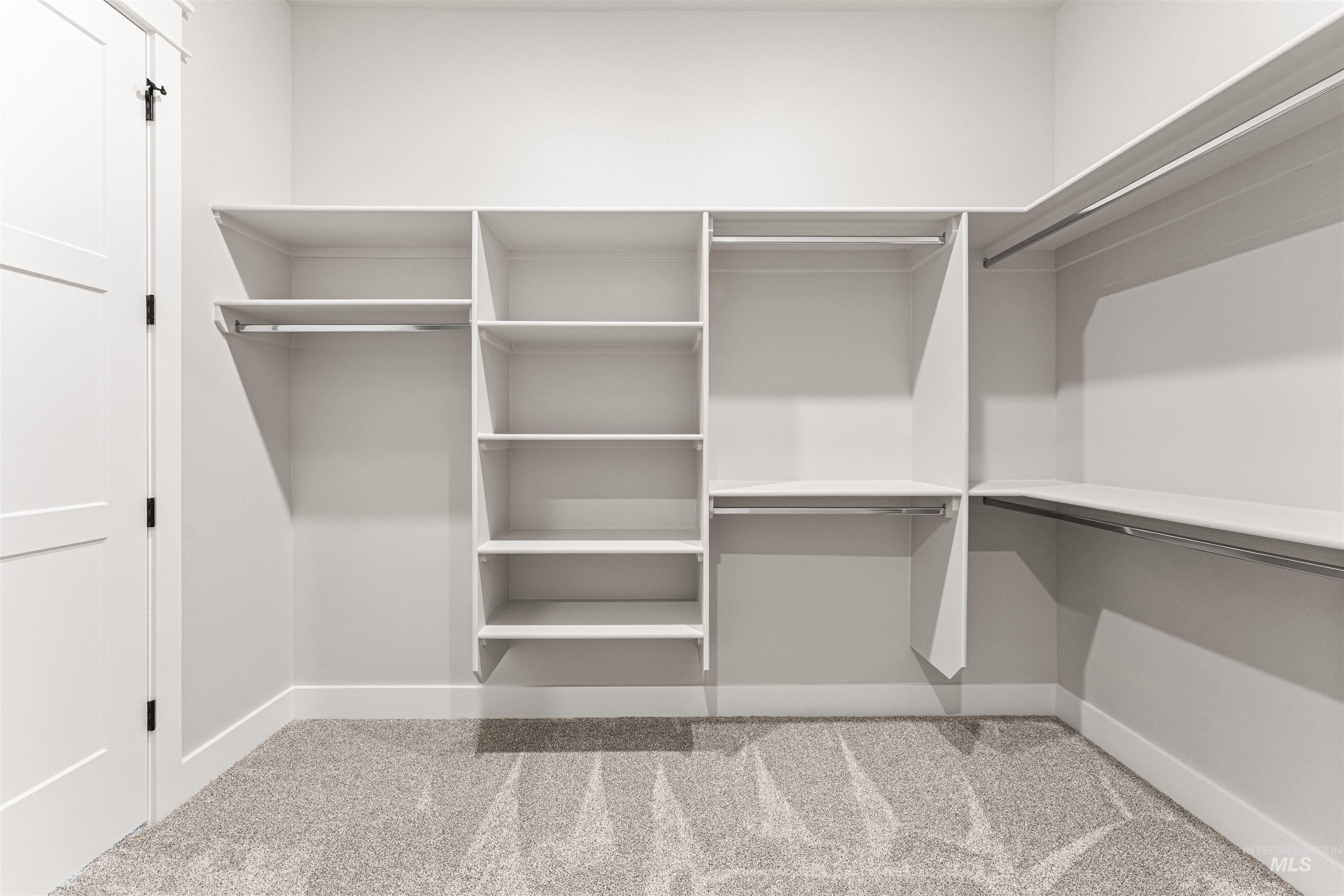 Walk in closet with carpet