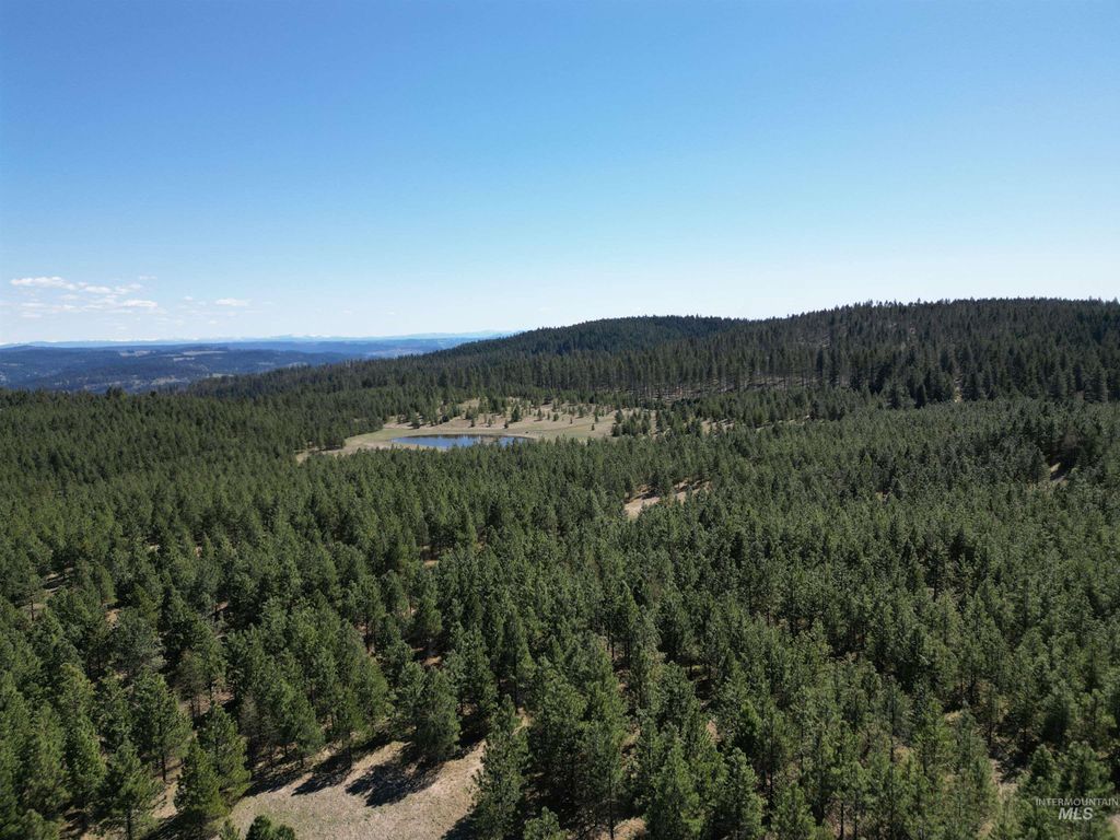 Photo of 4975 Middle Road, Lenore, ID 83541 (MLS # 98975912)