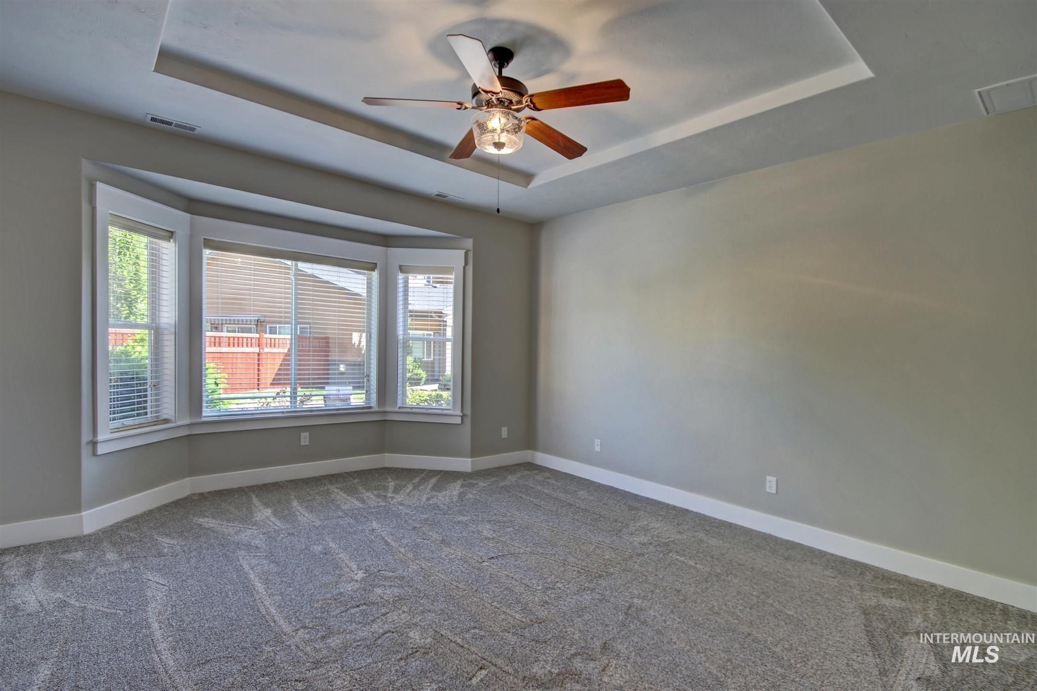 Carpeted spare room featuring a tray ceiling, healthy amount of natural light, and ceiling fan