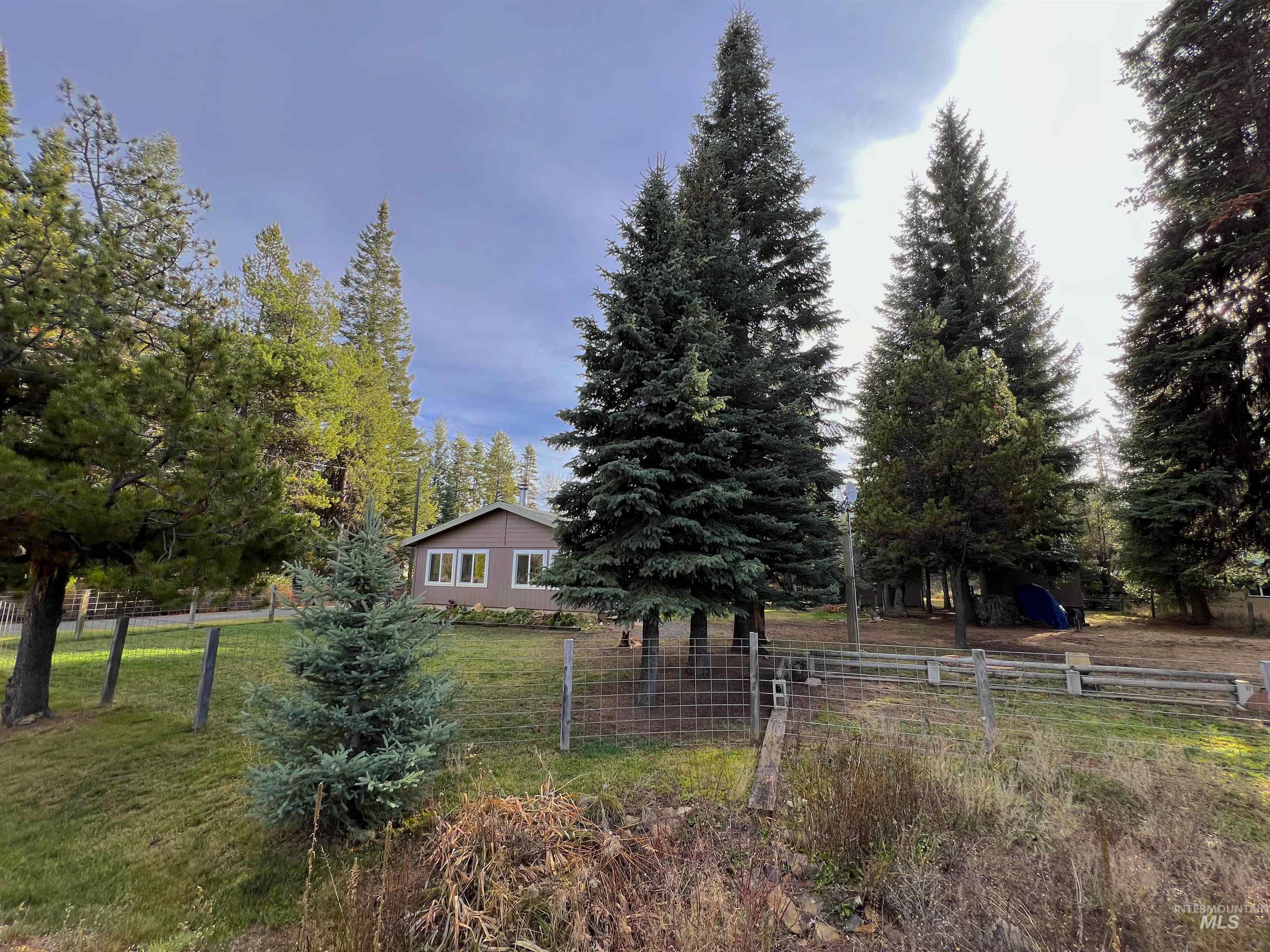 View of yard featuring view of wooded area