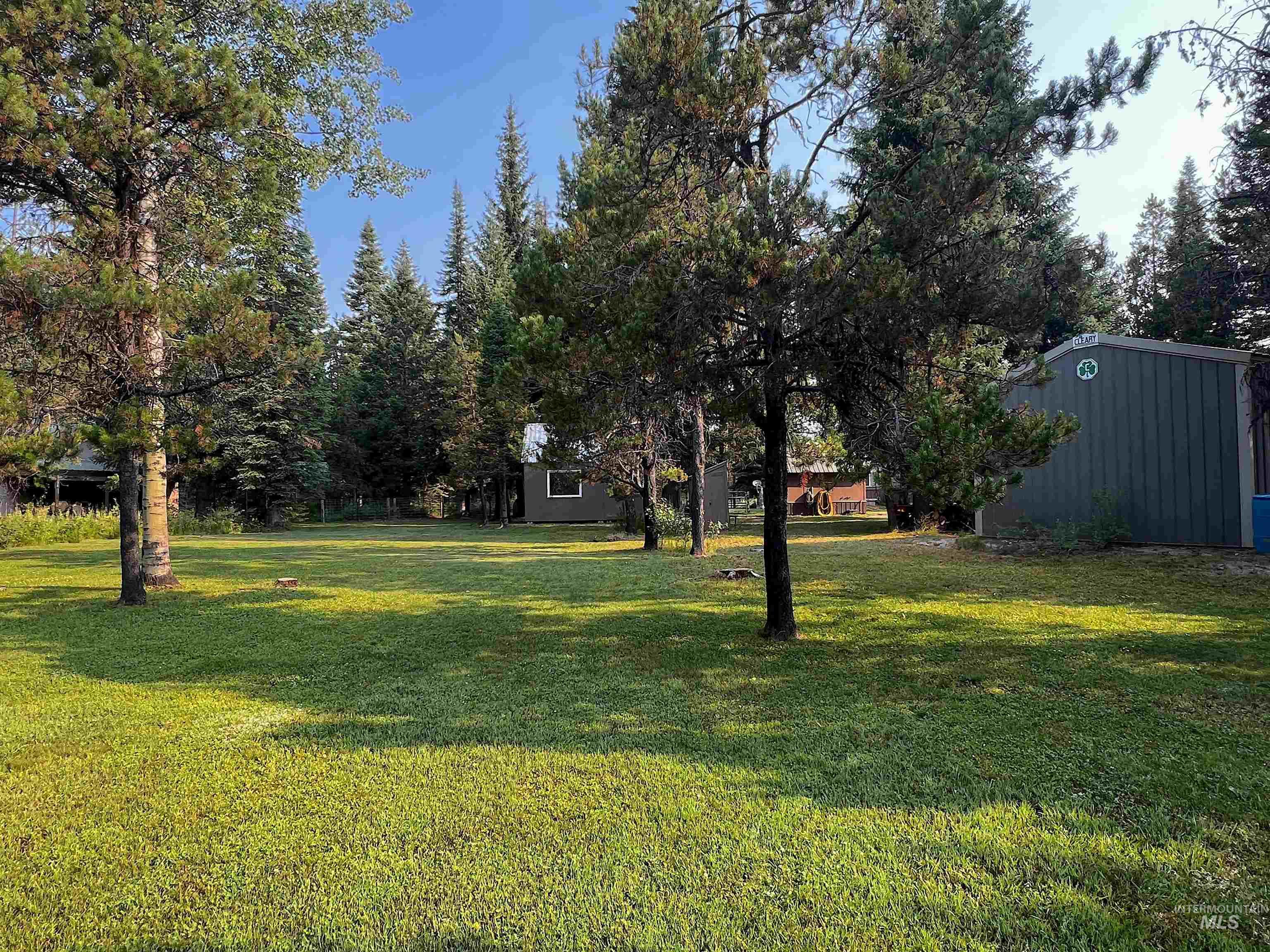 View of grassy yard with view of scattered trees and an outbuilding