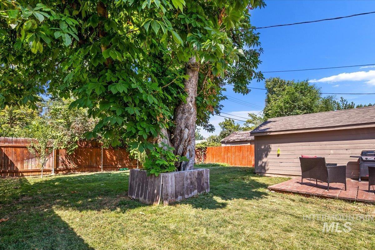 View of fenced backyard