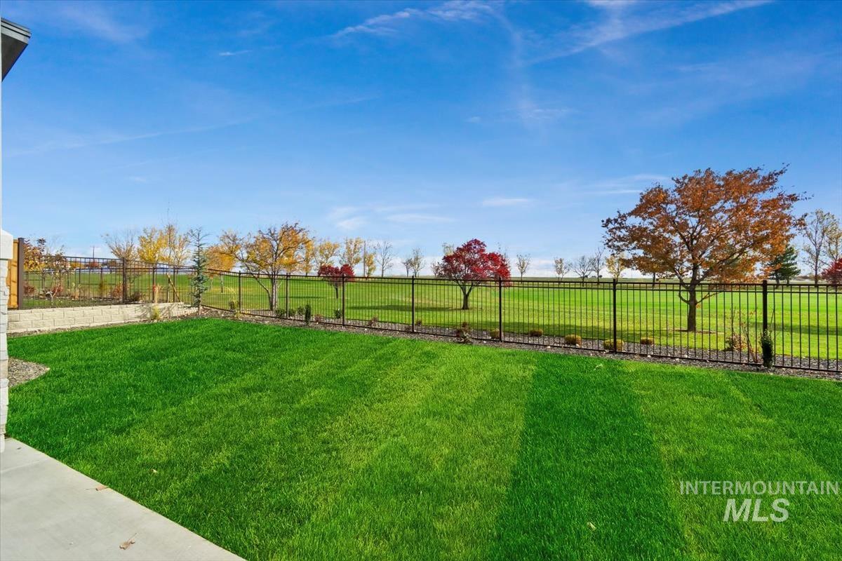 View of fenced backyard