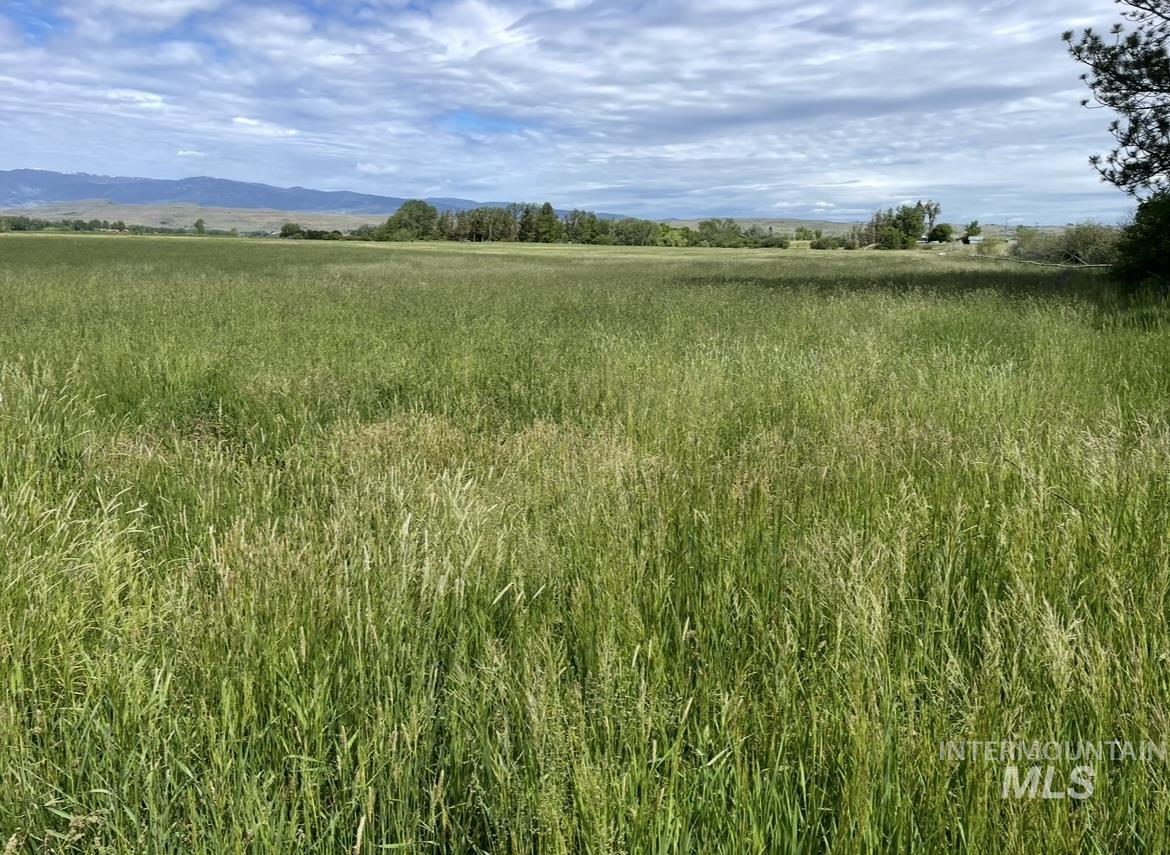 View of local wilderness featuring rural landscape and mountains