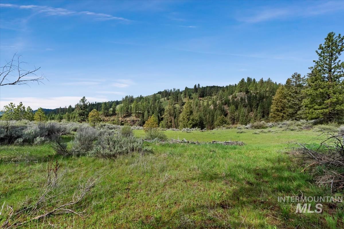 Lot 5 N Corral Flat Rd