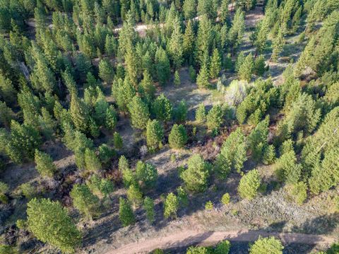 Photo of 31 Trail Creek Ct, Placerville, ID 83666 (MLS # 98948516)