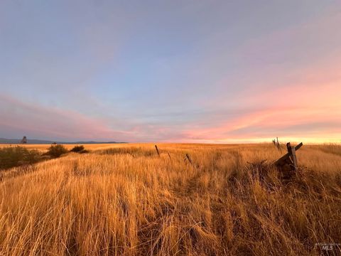 Photo of 105 Scotlyn Ranch Rd, Kamiah, ID 83536 (MLS # 98927832)