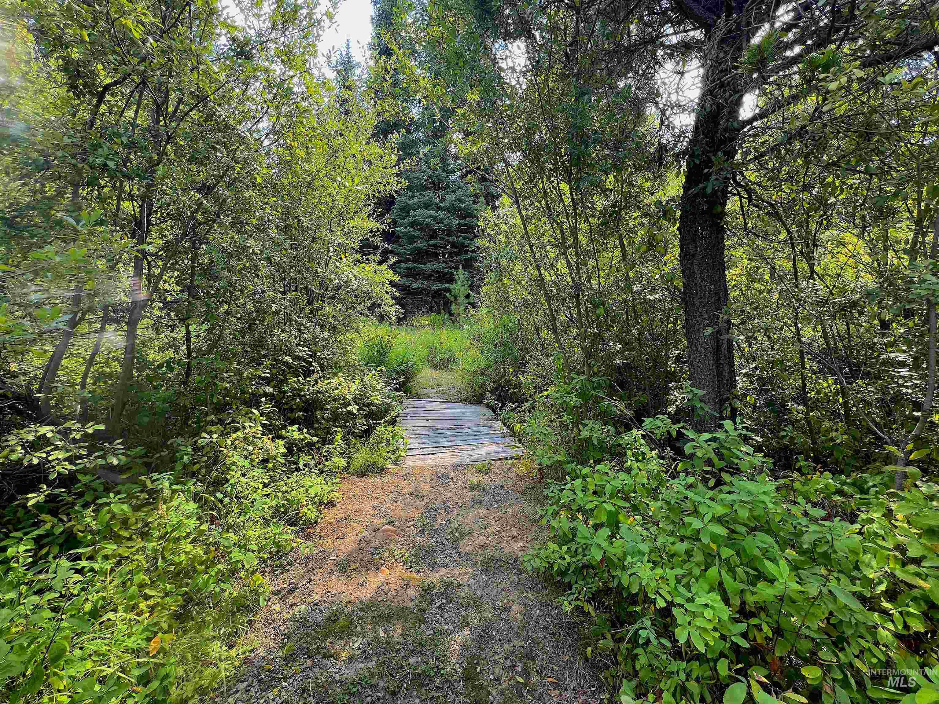 View of street featuring a wooded view