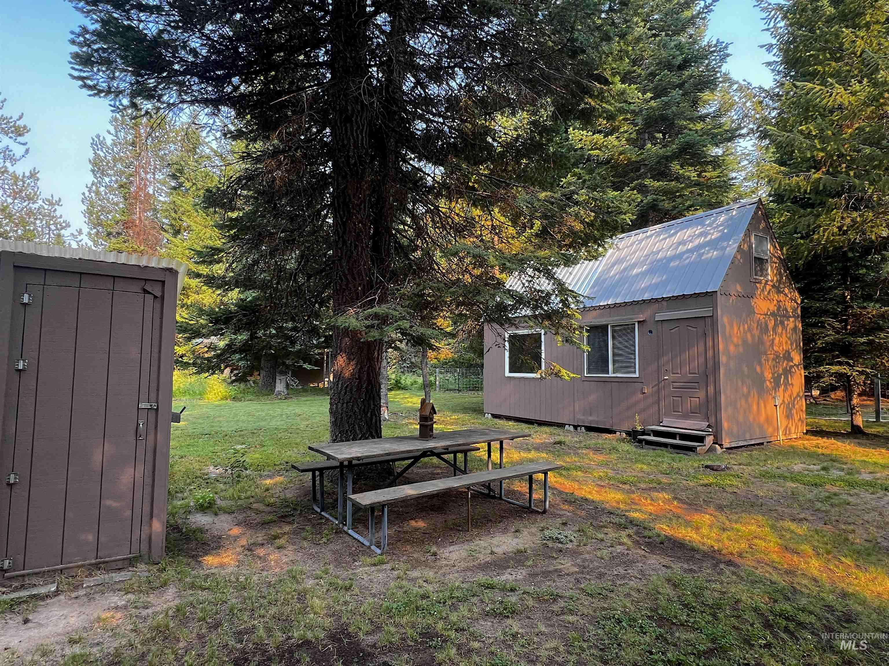 View of green lawn with a shed