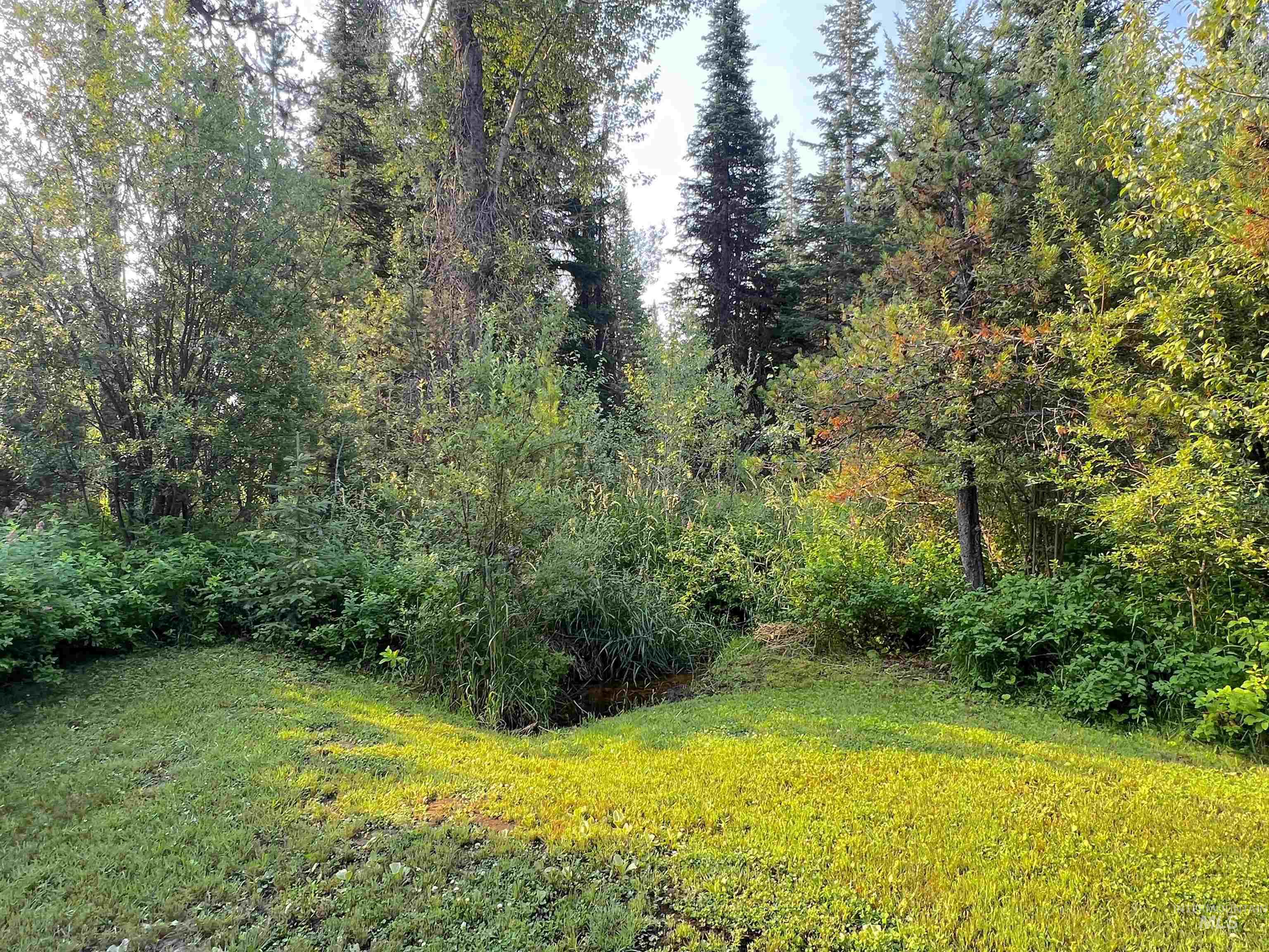 View of grassy yard featuring a forest view
