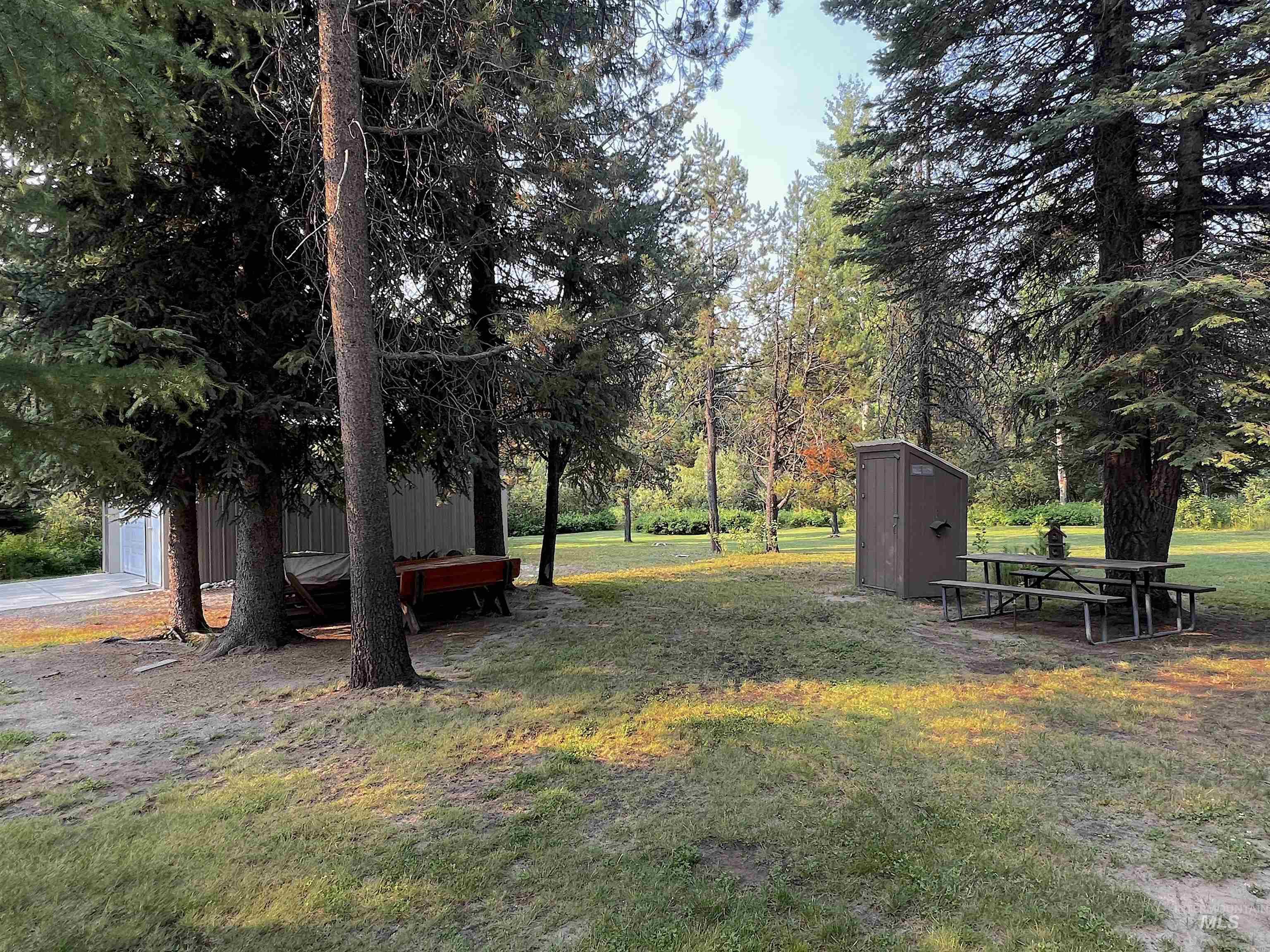 View of grassy yard with a storage shed