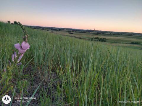 Photo of TBD Whiteman Ln, Indian Valley, ID 83632 (MLS # 98969161)