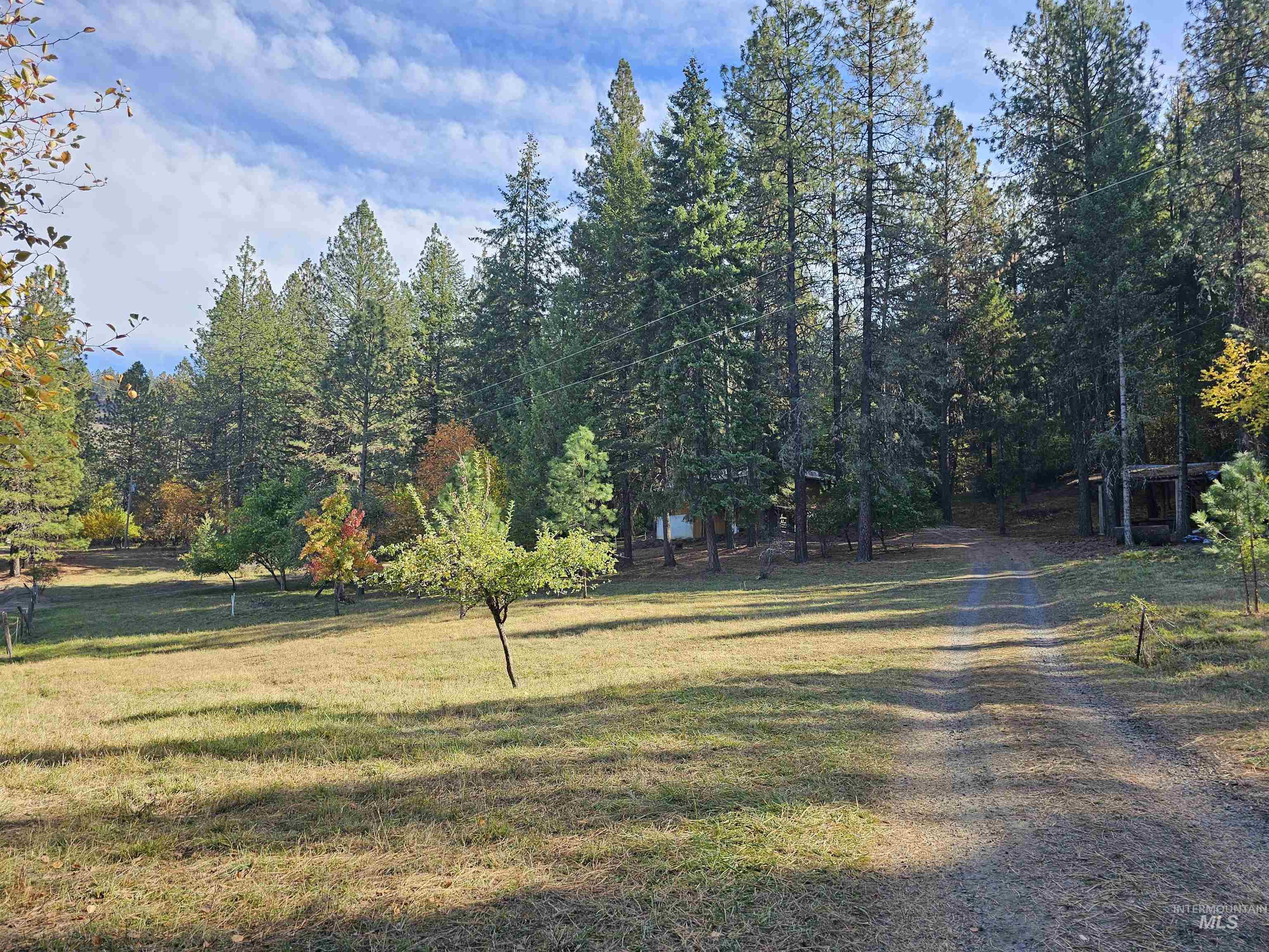 1298 Obrien Rd, Orofino, Idaho image 4