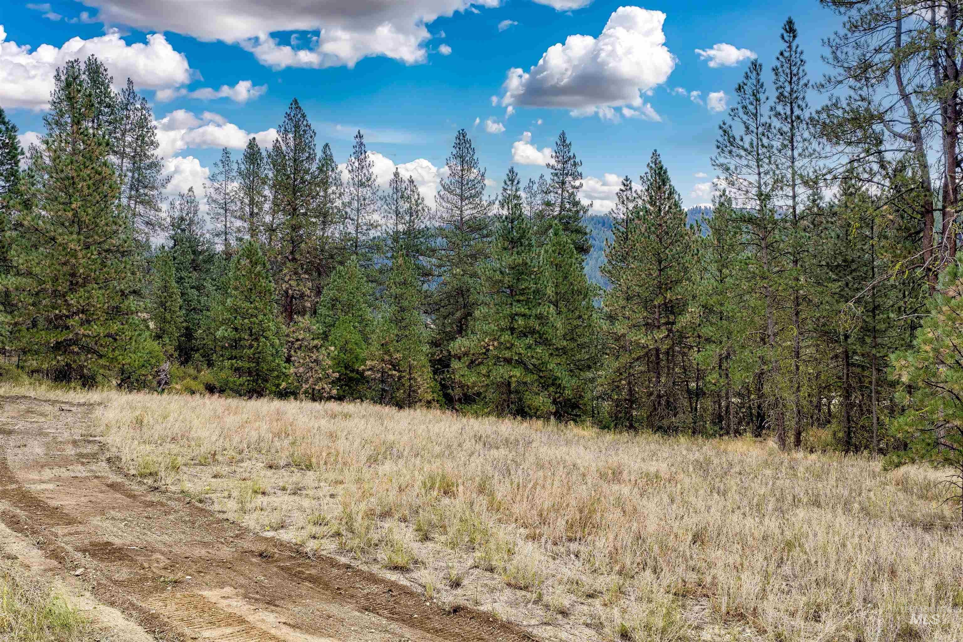 TBD (Lot 2) Hwy 21
