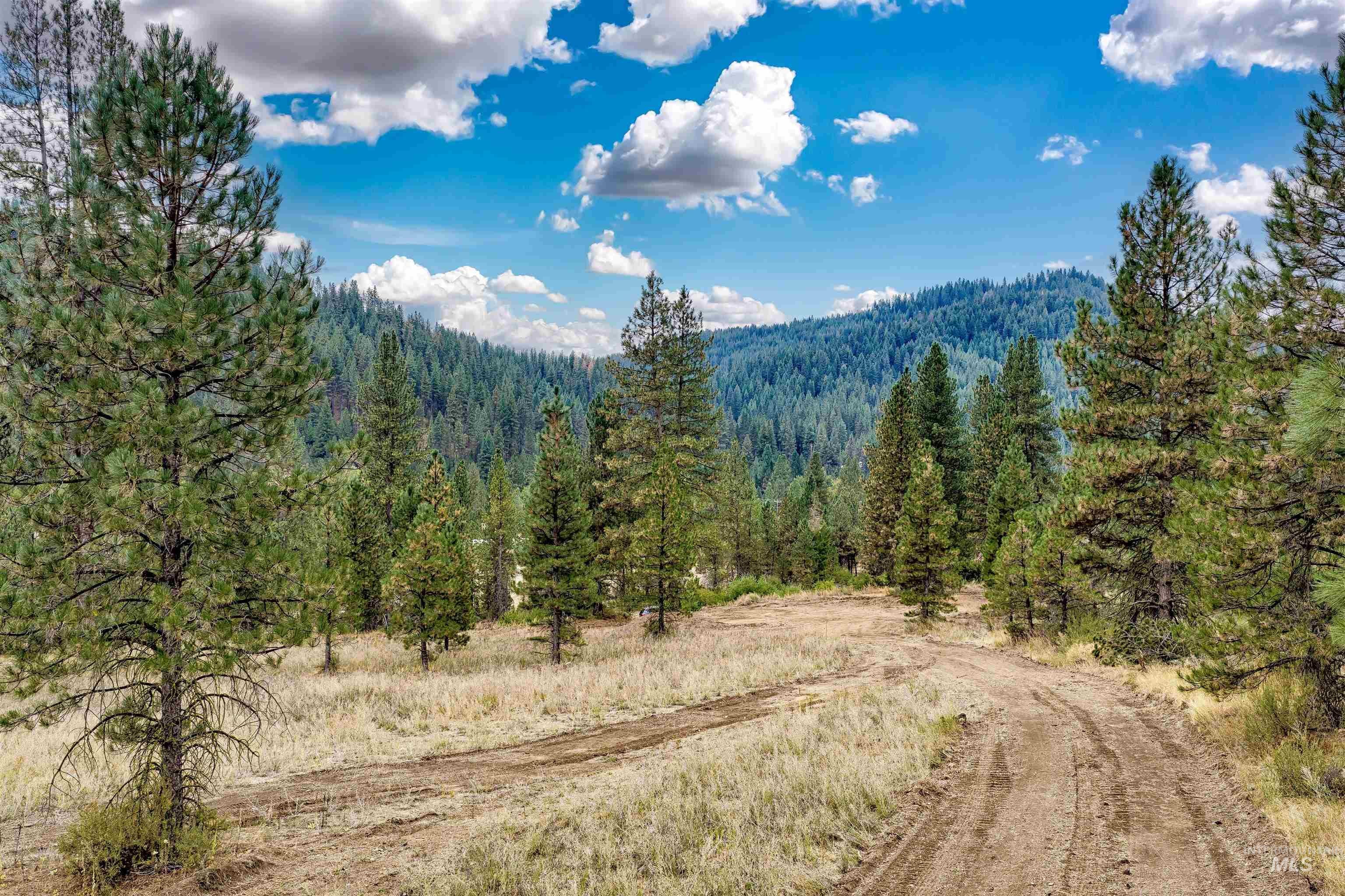 TBD (Lot 2) Hwy 21