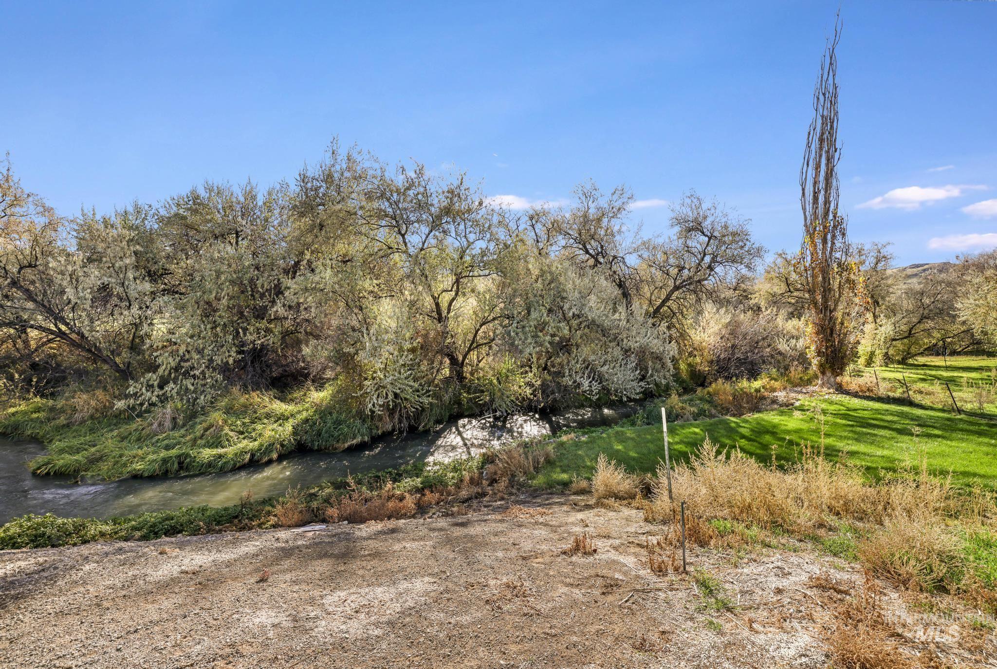 View of local wilderness