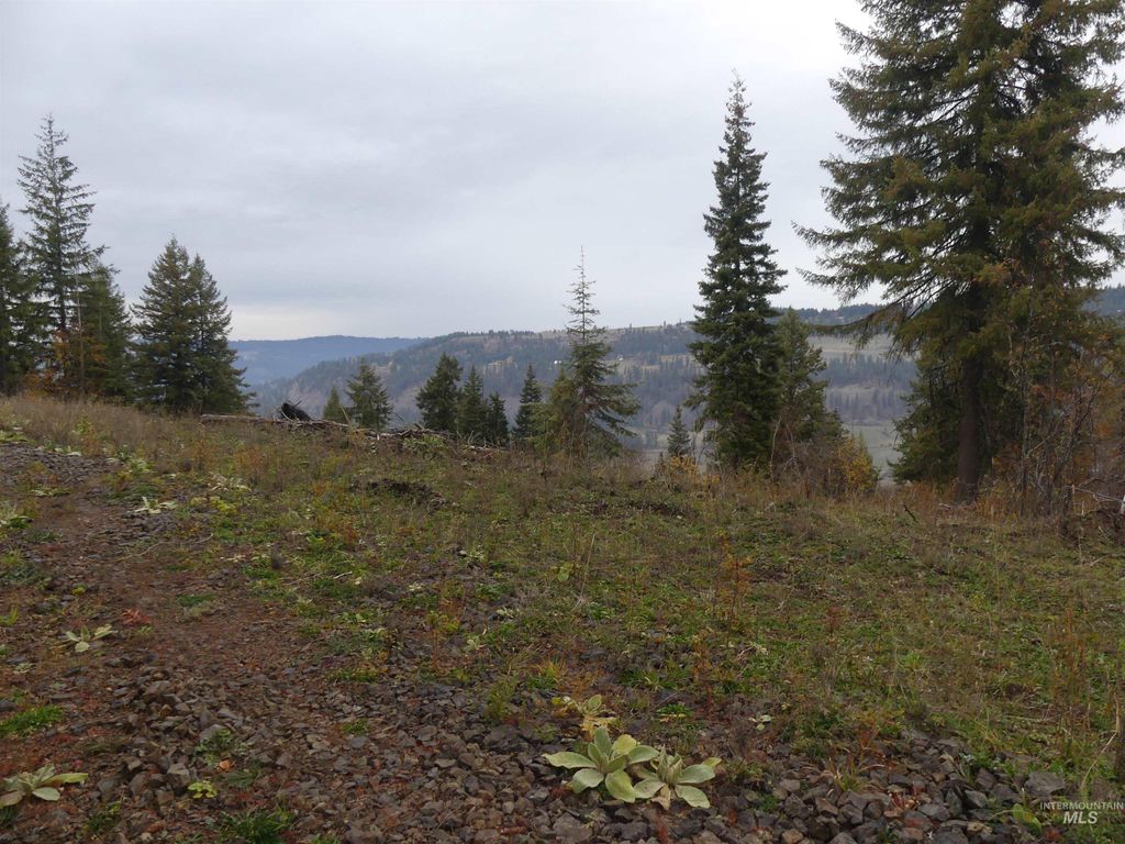 Photo of 472 Mountain Top Drive (#5), Orofino, ID 83544 (MLS # 98971103)