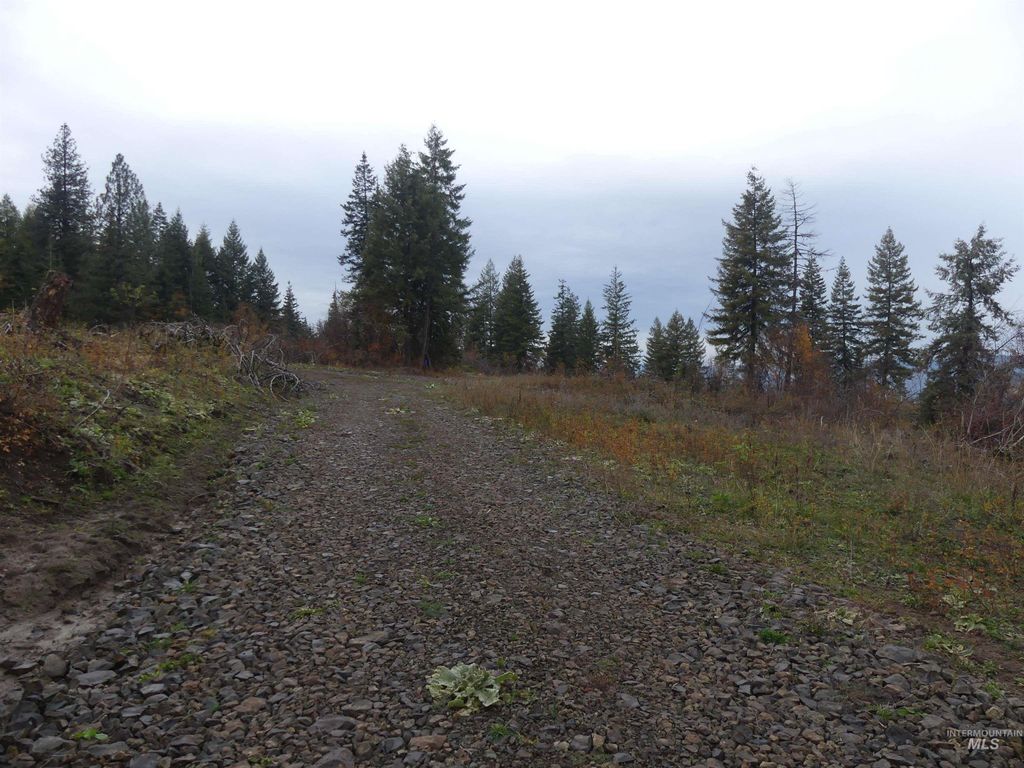 Photo of 472 Mountain Top Drive (#5), Orofino, ID 83544 (MLS # 98971103)