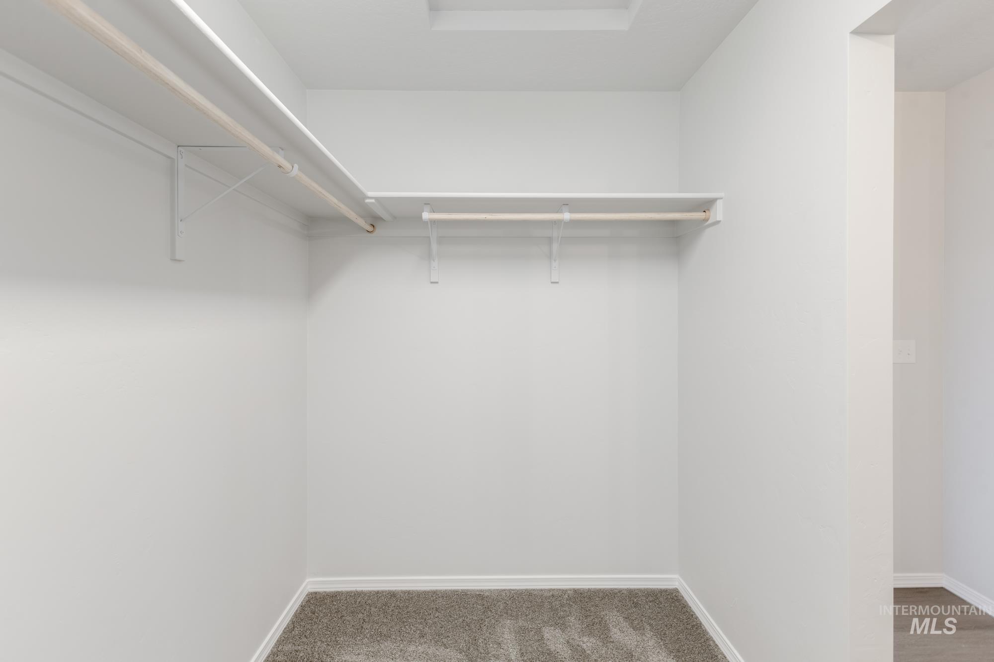 Spacious closet featuring light carpet
