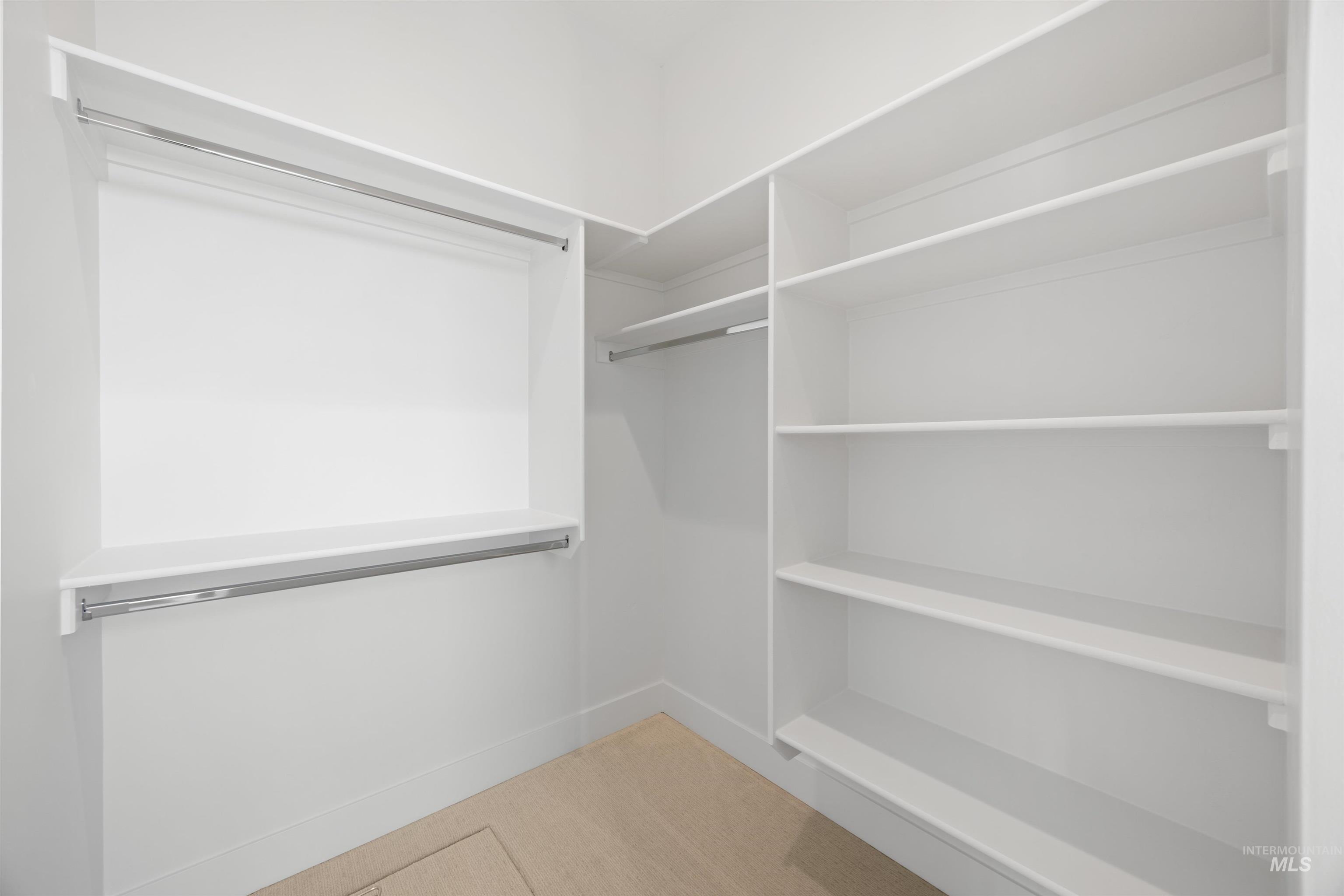 Spacious closet featuring light carpet