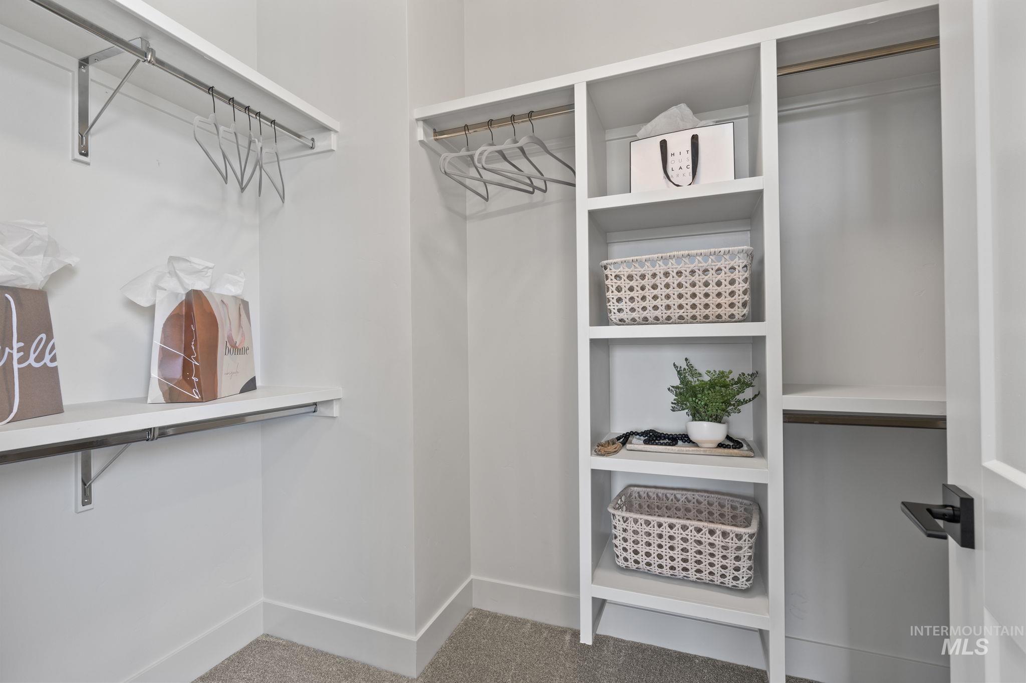 Walk in closet featuring carpet
