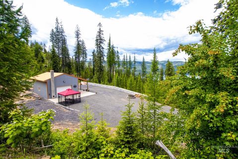 1499 Cold Springs Lane Orofino ID 83544