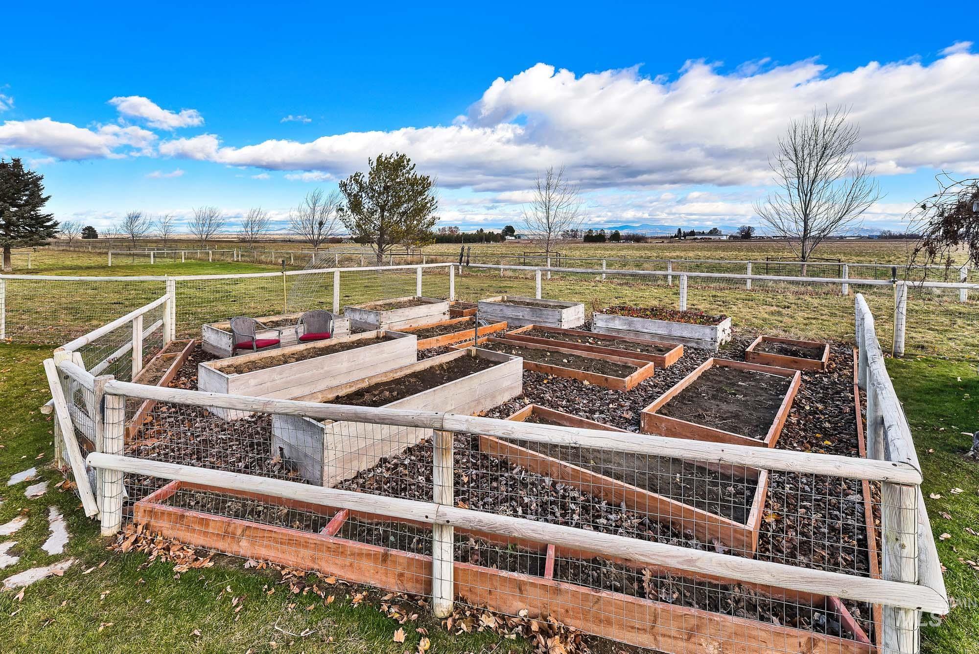 View of yard with several raised vegetable garden planters and a rural view