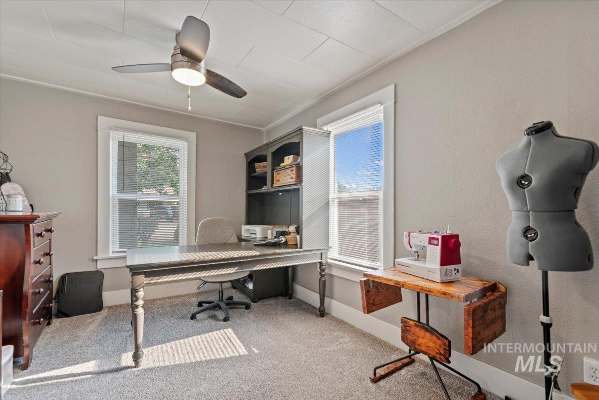 Office area with light carpet, ornamental molding, and ceiling fan