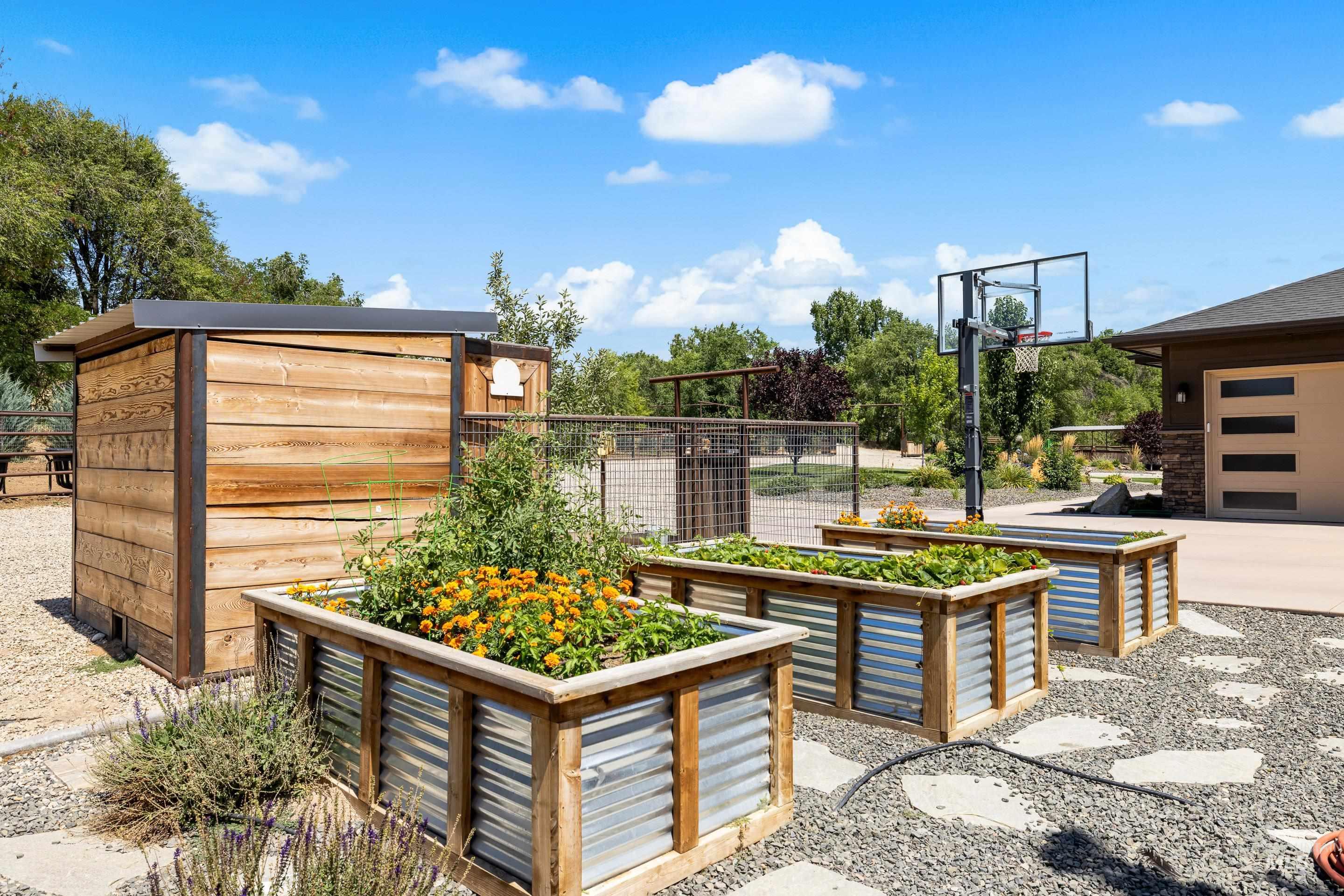 View of basketball court
