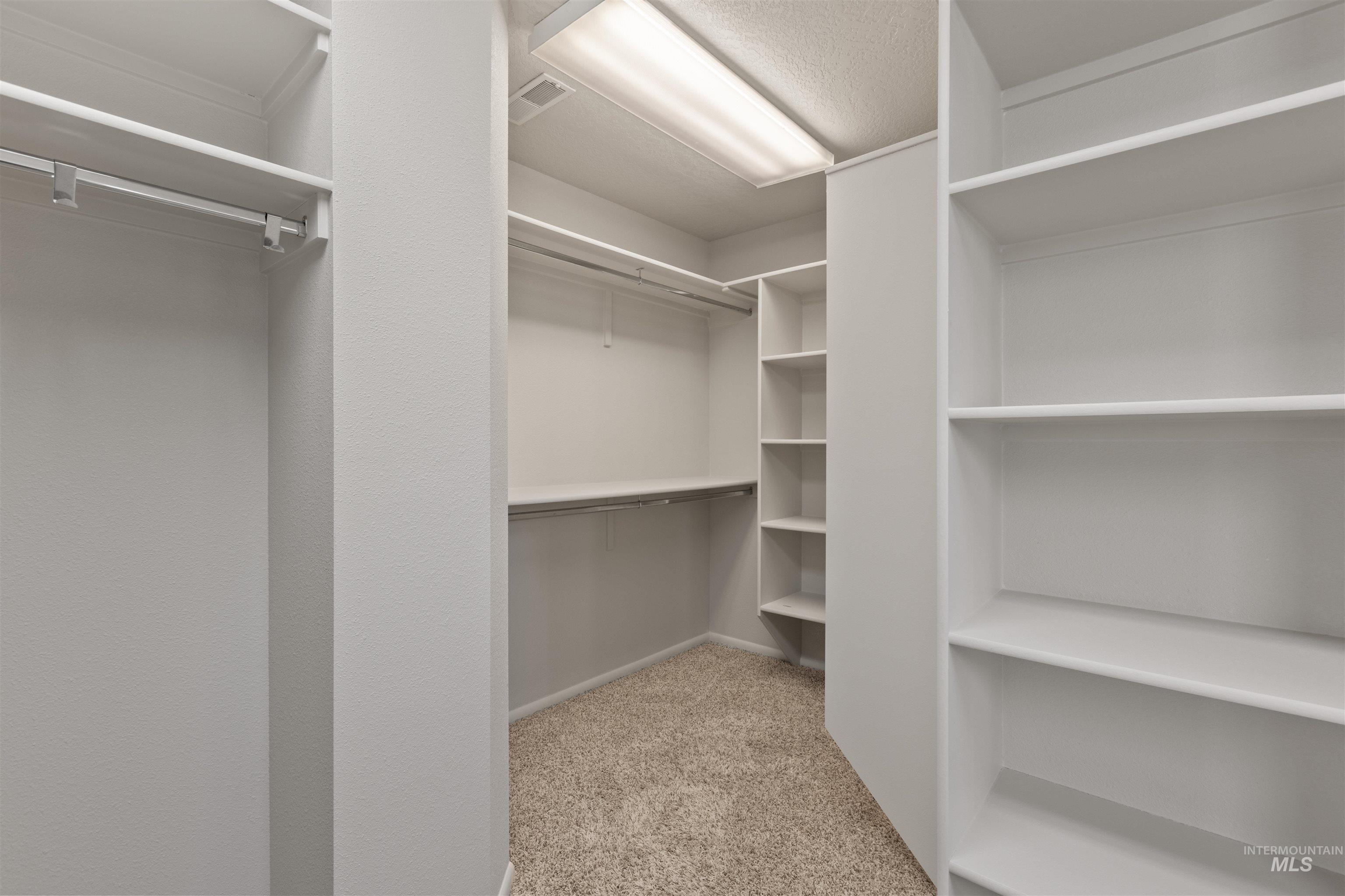 Walk in closet featuring light colored carpet