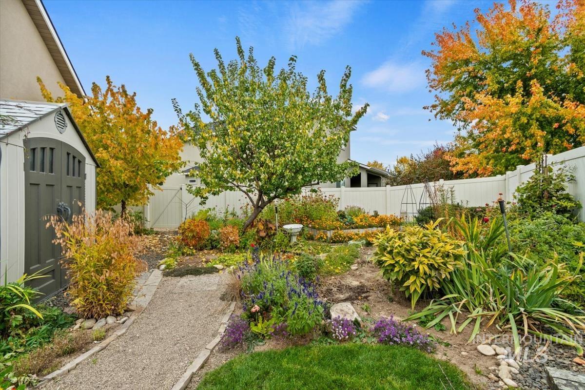 View of fenced backyard
