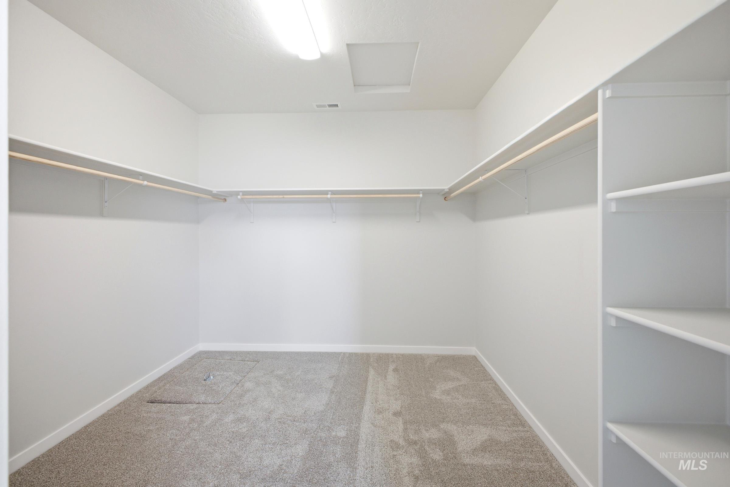 Spacious walk-in closet featuring light-toned carpeting, white walls, built-in shelving, and hanging rods