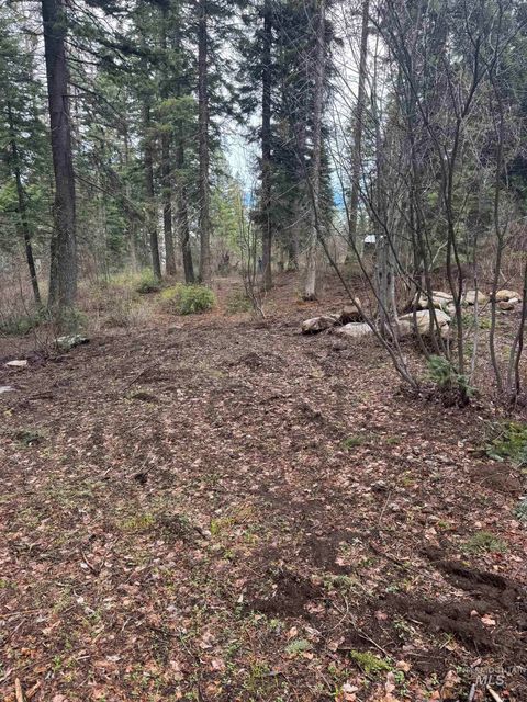 Photo of 1204 Porcupine Road, Cascade, ID 83611 (MLS # 98982089)