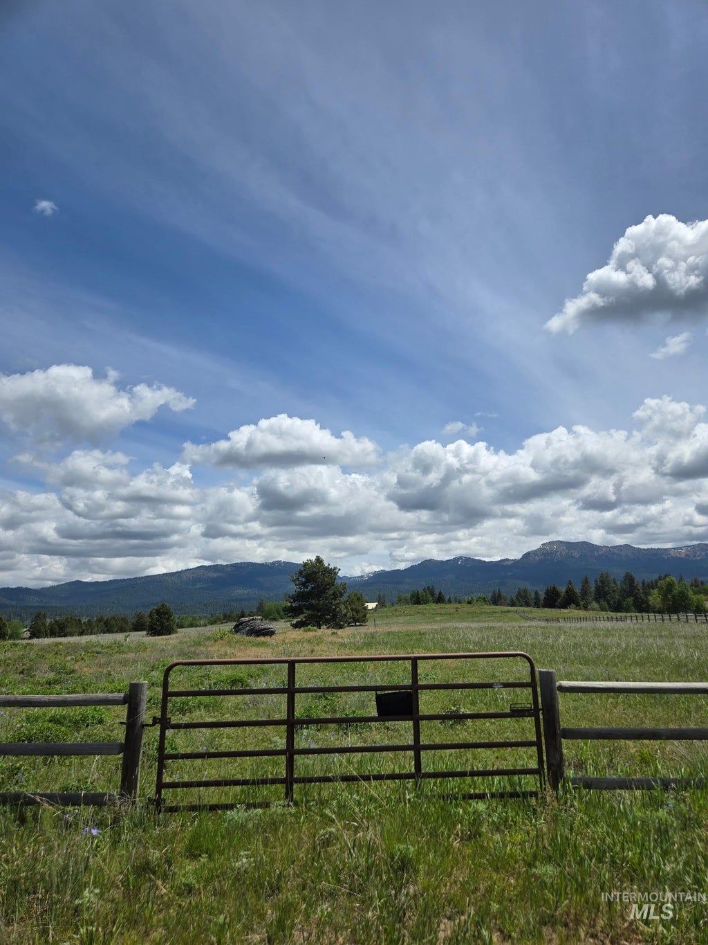 Photo of 14016 Country Way, McCall, ID 83638 (MLS # 99003392)