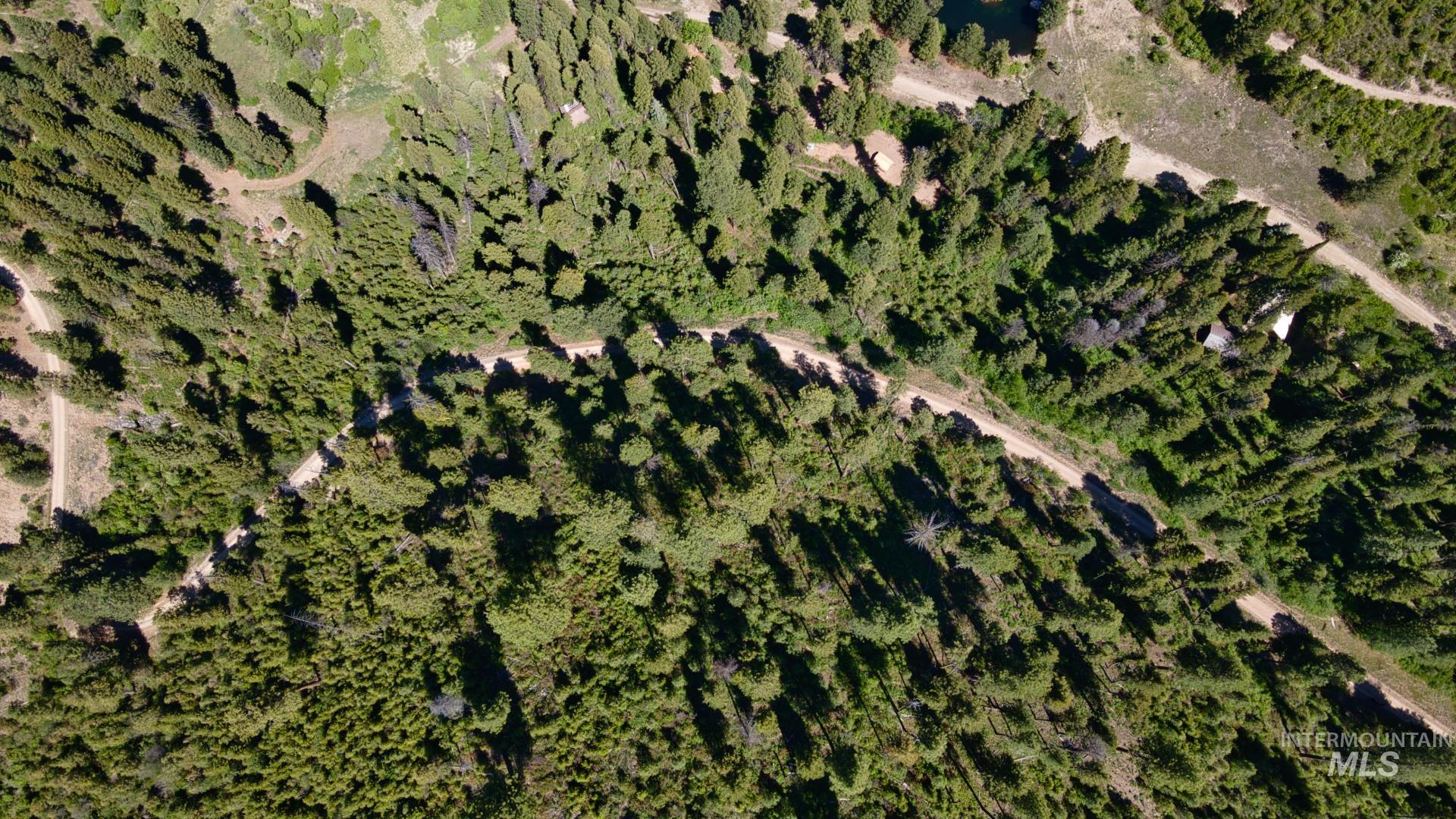 TBD Forest Service Road 542