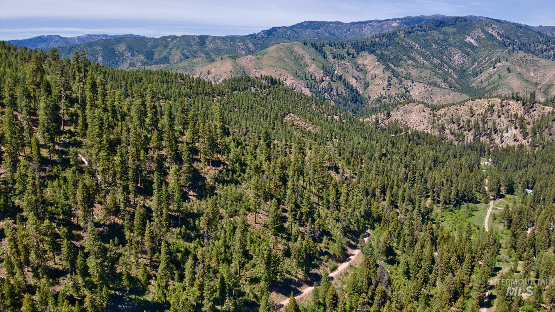 TBD Forest Service Road 542