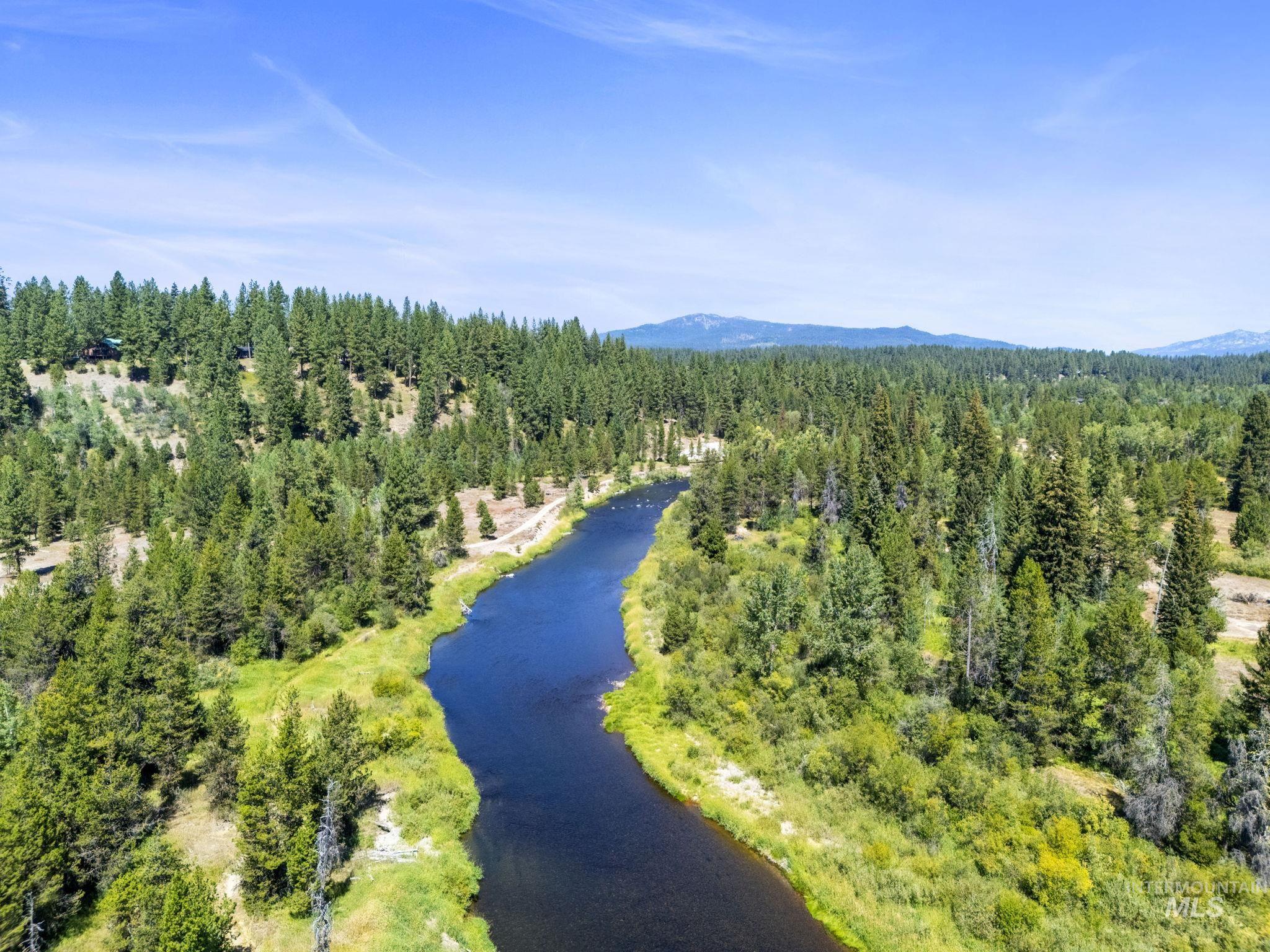 Drone / aerial view of a water and mountain view and a forest