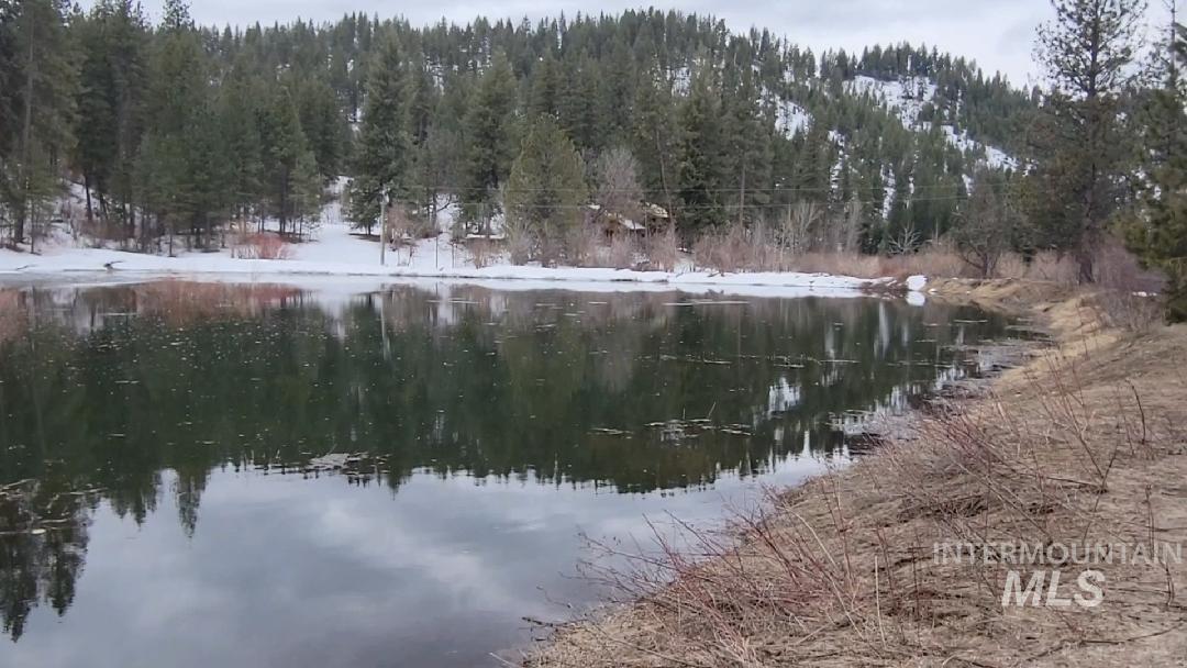 Water view featuring a heavily wooded area