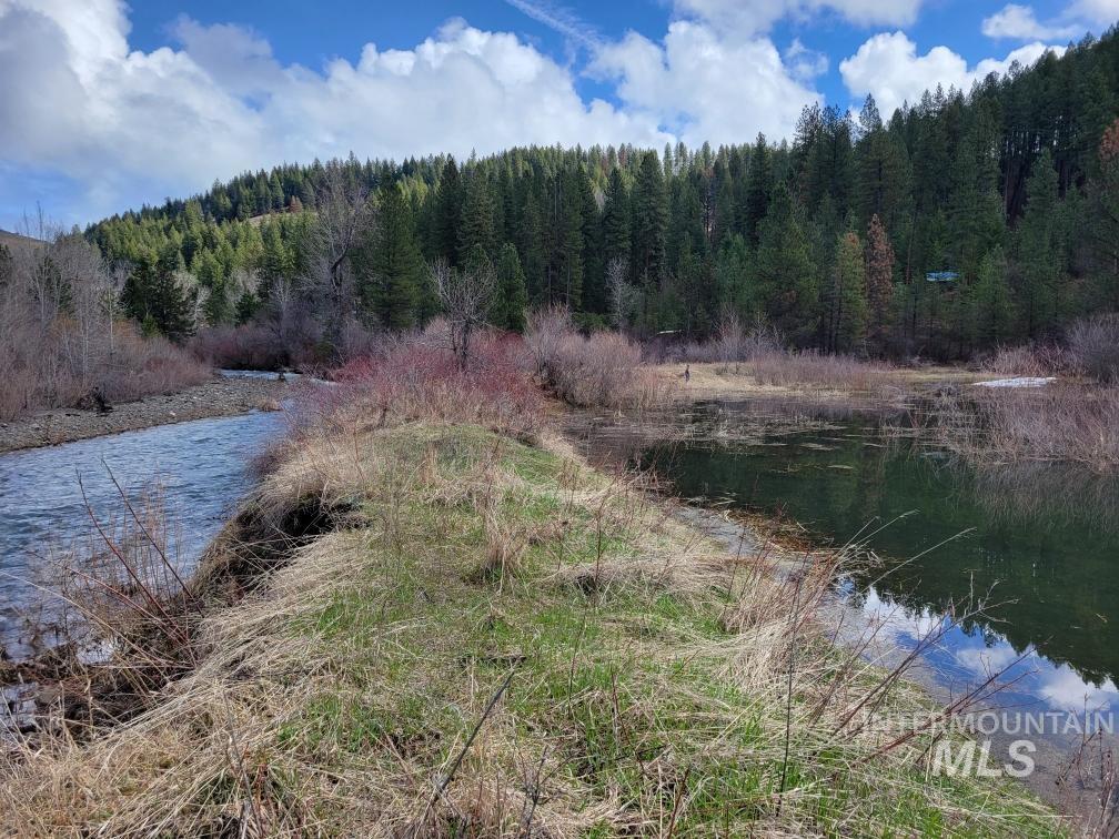 Water view featuring a heavily wooded area