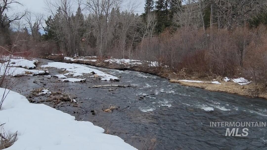 Yard covered in snow featuring a forest view