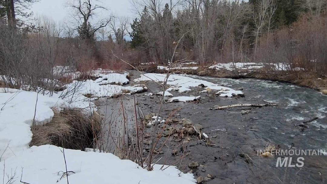 Yard layered in snow with a view of trees