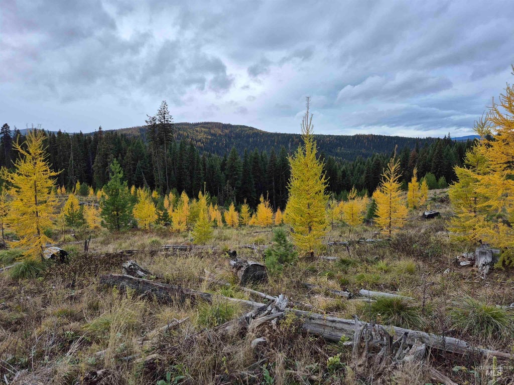 Photo of TBD French Gulch Rd Parcel #2 RD, Elk City, ID 83525 (MLS # 98885127)