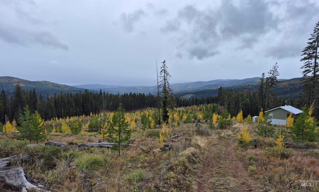Photo of TBD French Gulch Rd Parcel #2 RD, Elk City, ID 83525 (MLS # 98885127)