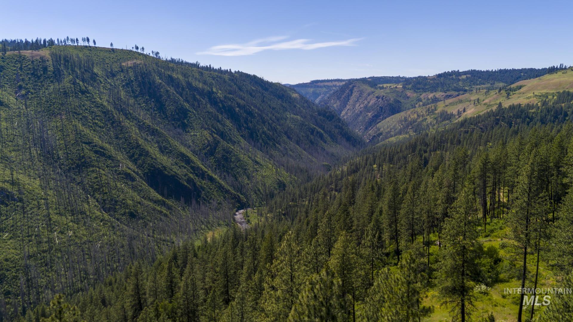 0 Forest Garden Ln, Parcel 4