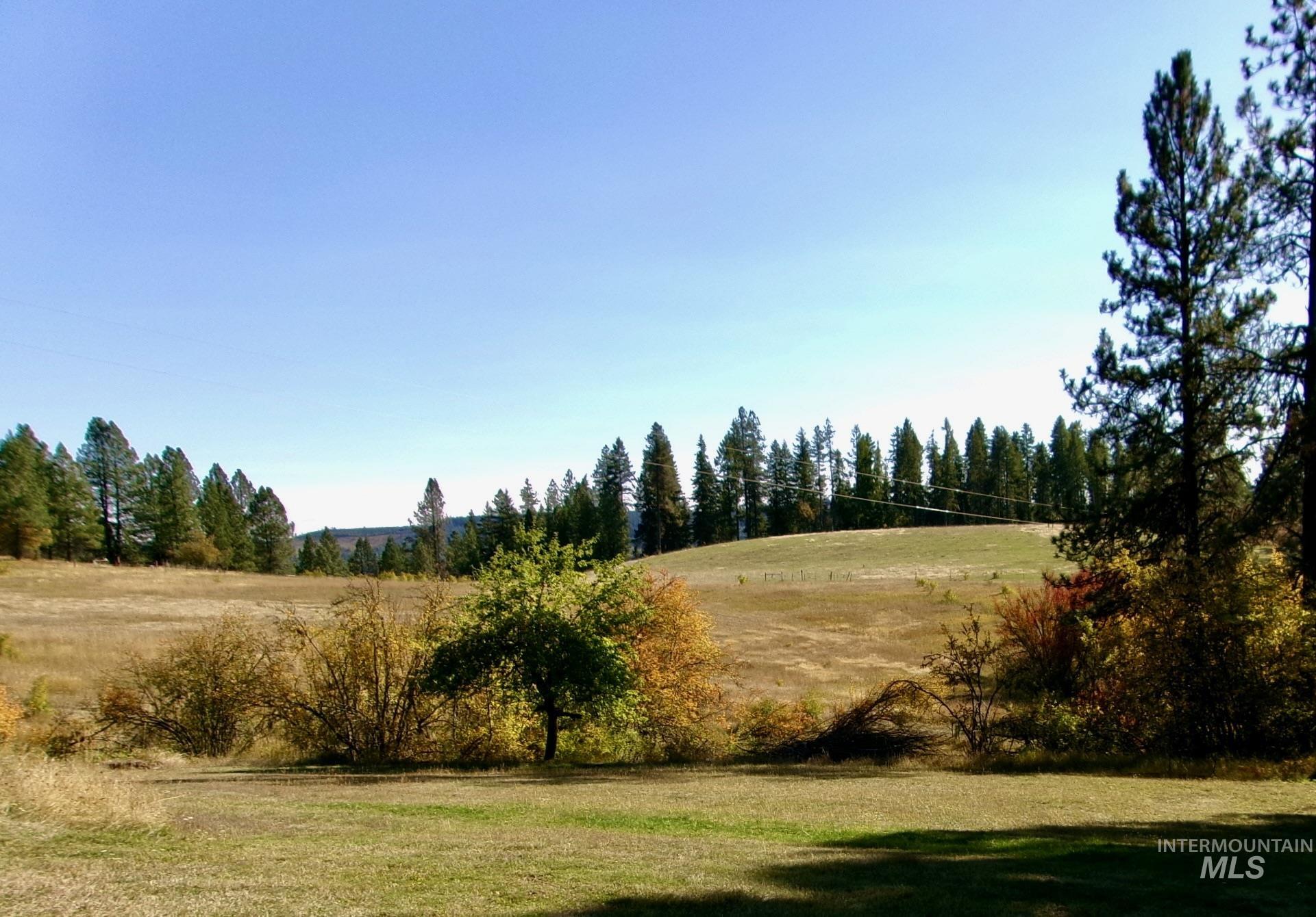 1891 Tom Ho Road, Orofino, Idaho image 45