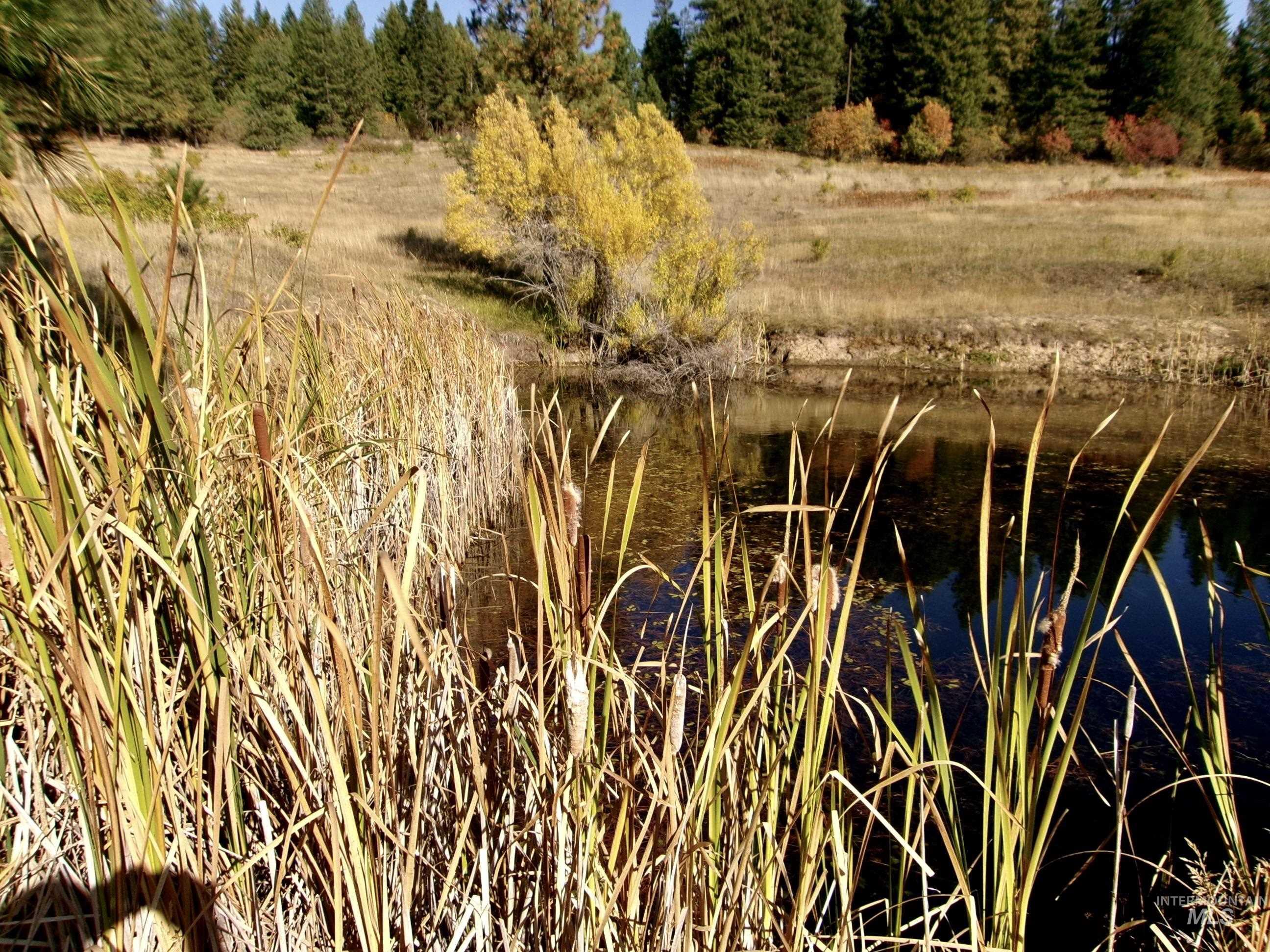 1891 Tom Ho Road, Orofino, Idaho image 39